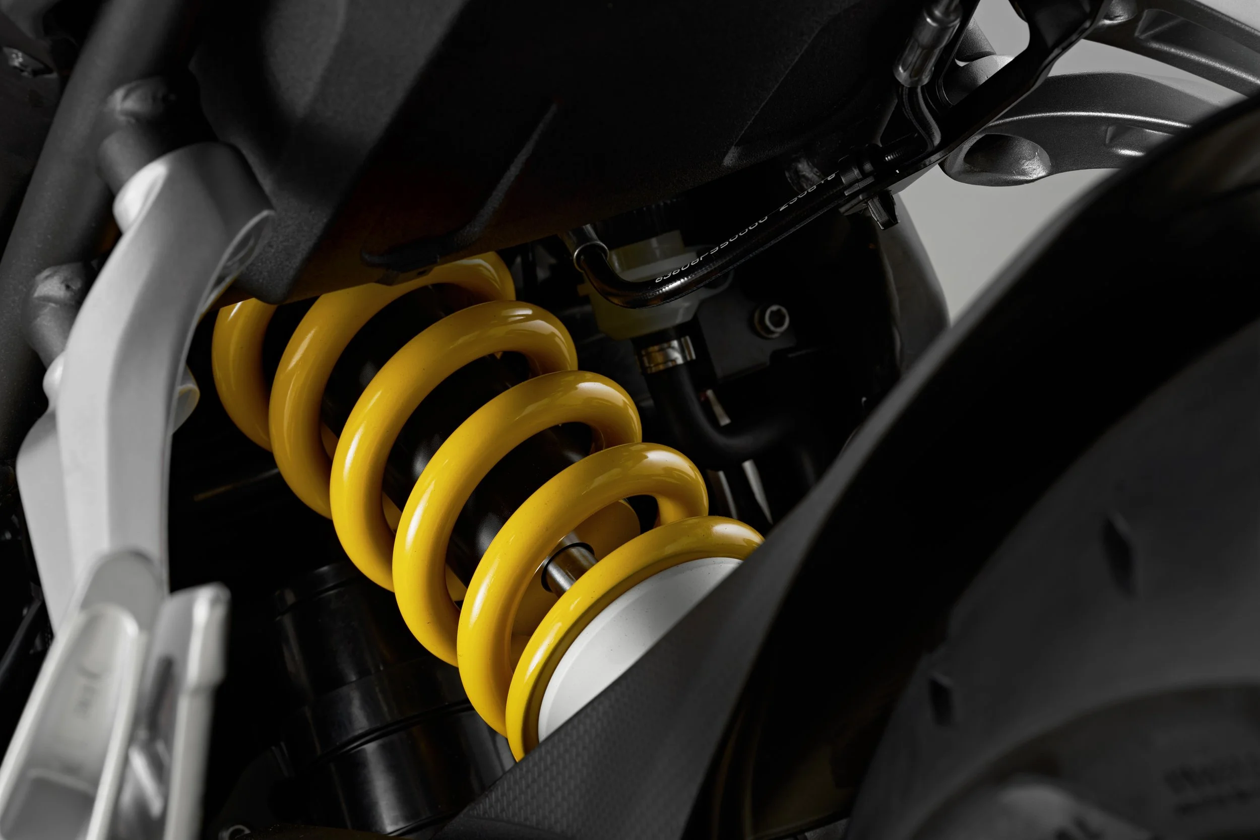 800 RR-2877.jpg
