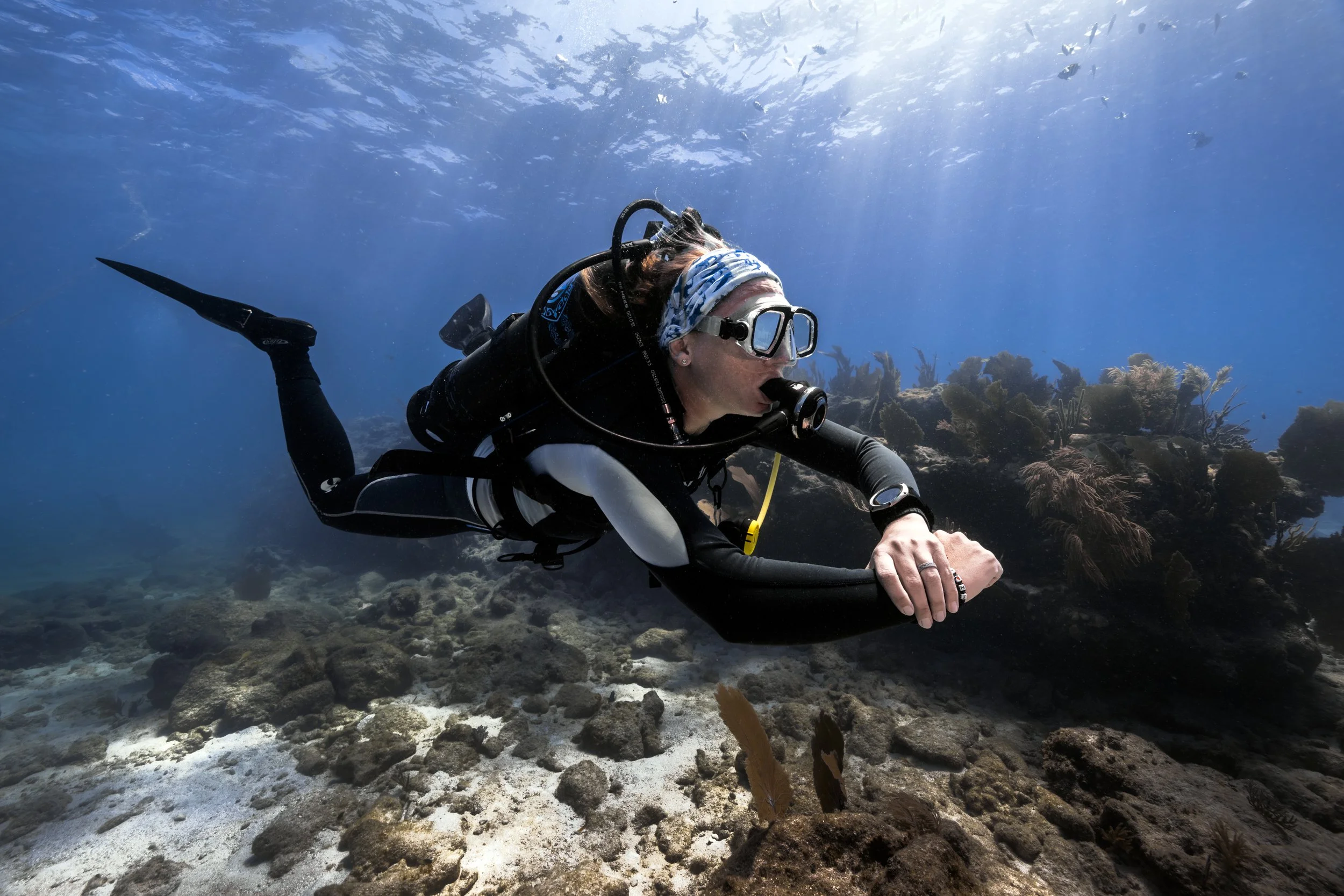 A scuba diver swimming above a coral reef underwater with clear blue water in the background.
