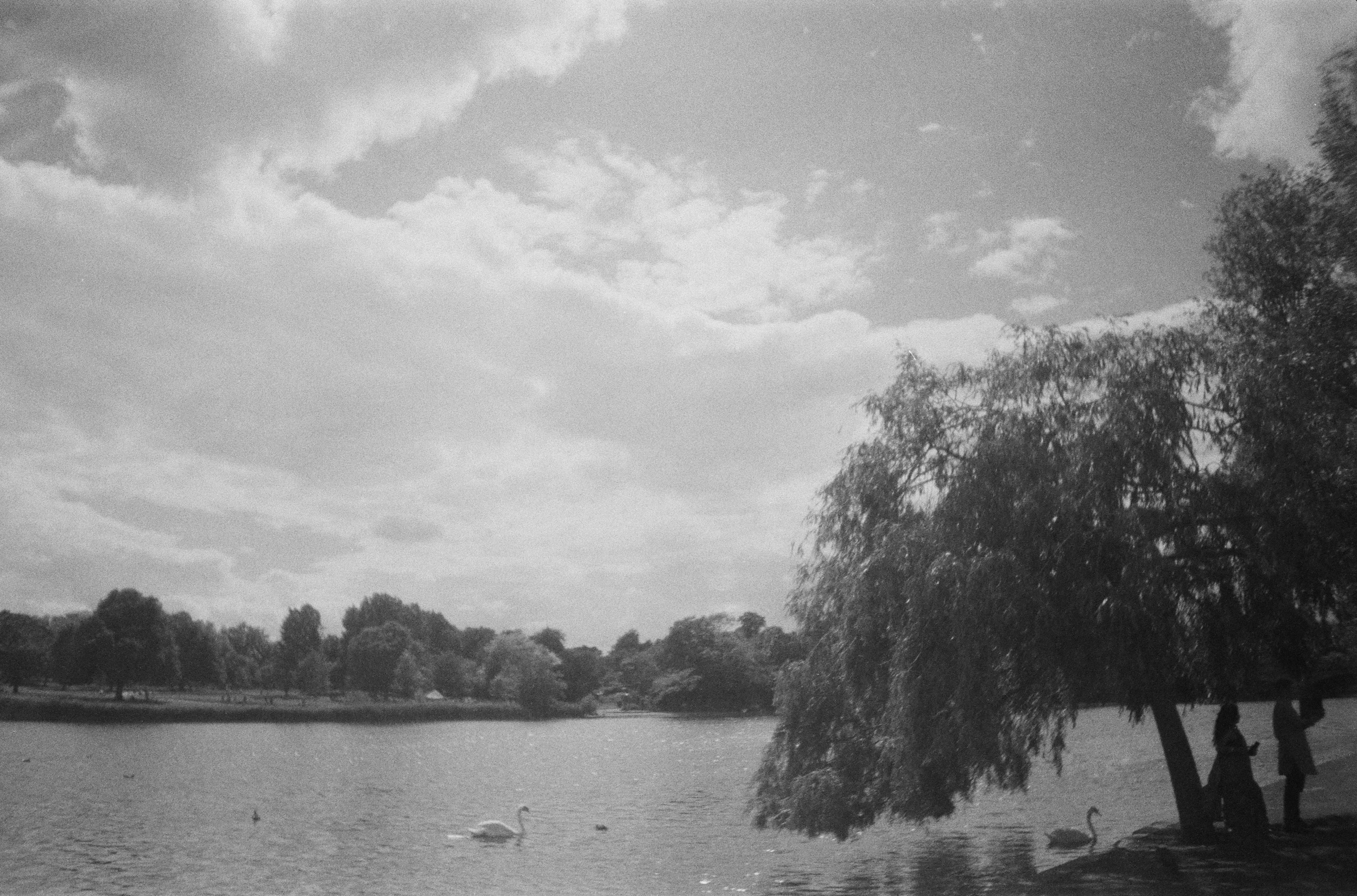 Screenshot 2026-03-06 at 10.16.39.png