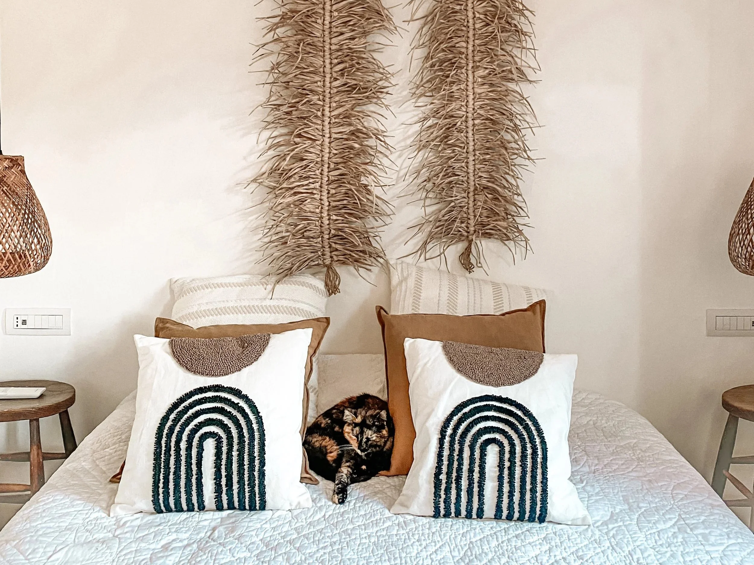 Meet the Cats of Sacro Cactus: Pet Therapy and the Joy of Animal Companionship