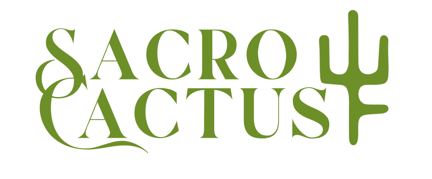 Eco Retreat &amp; Unique Villa in Sardinia | Sacro Cactus
