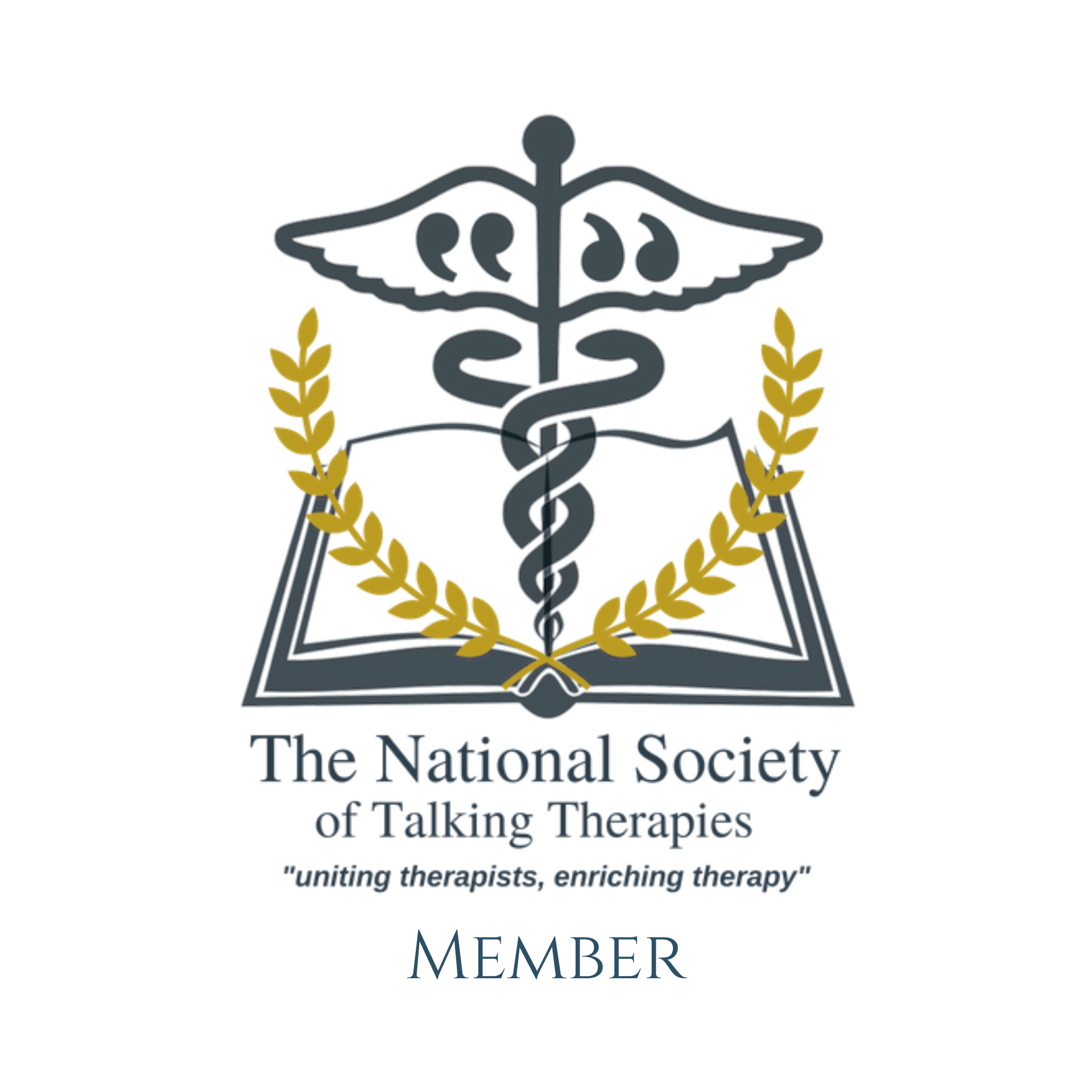 NSTT (National Society of Talking Therapies) Associate Member logo.