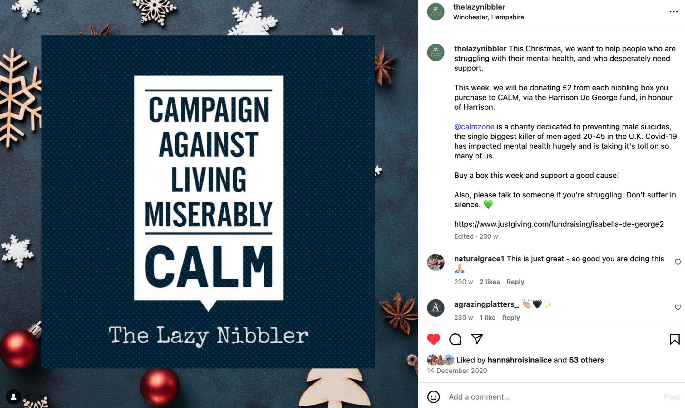 The Lazy Nibbler: Community support