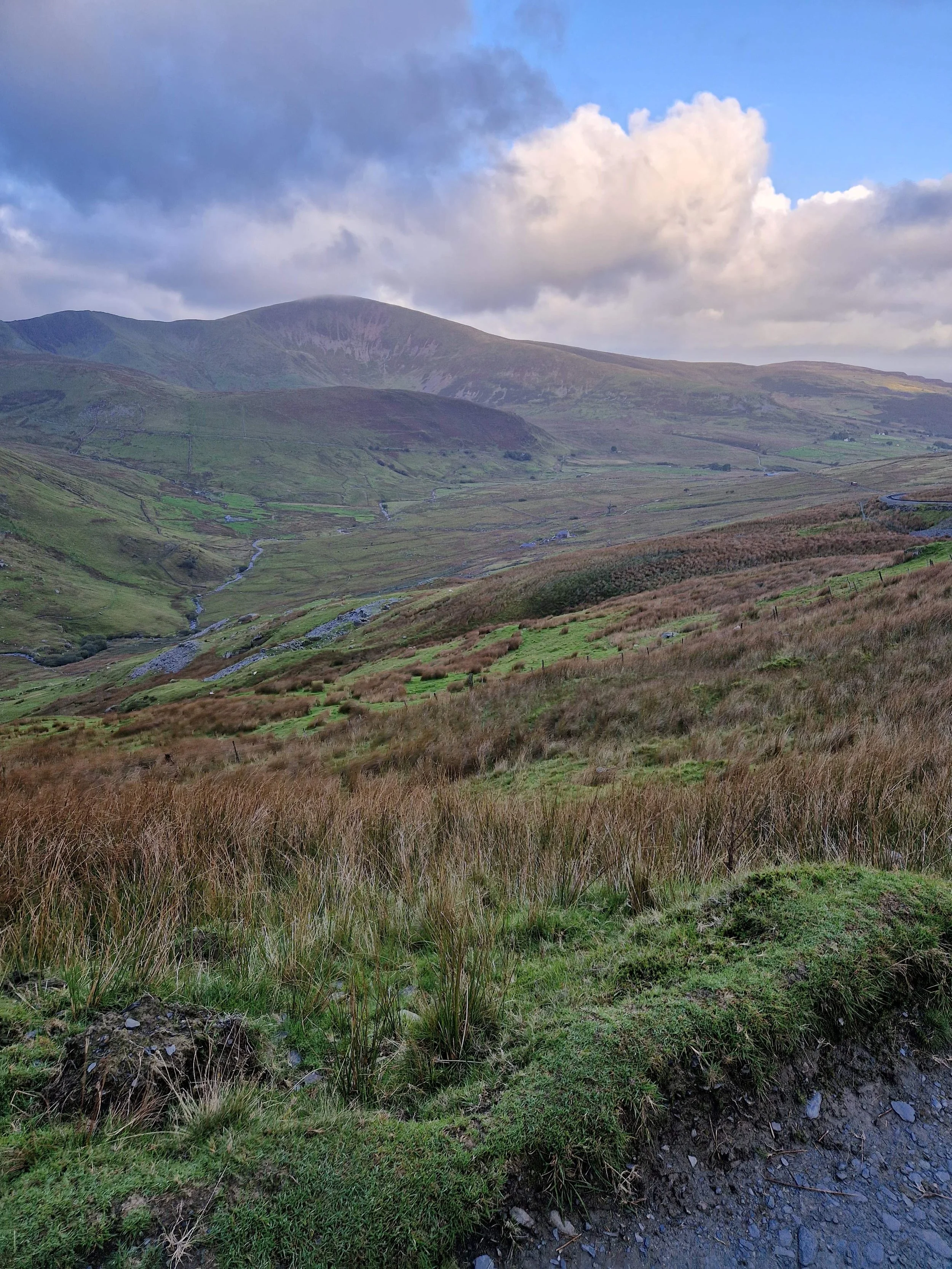 Leave no Trace: Protecting the Trails we Love