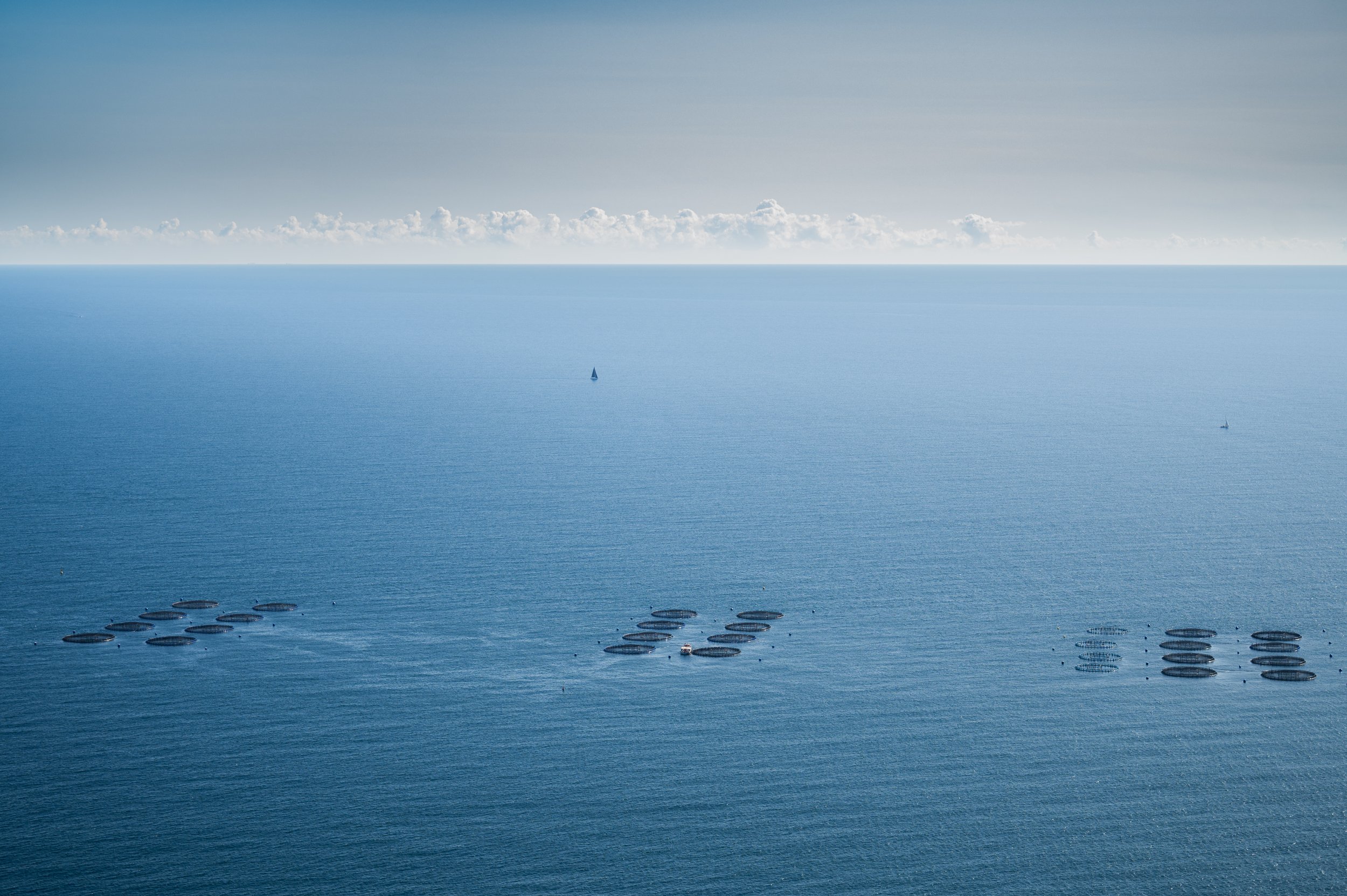 DSC_6970 (2).jpg