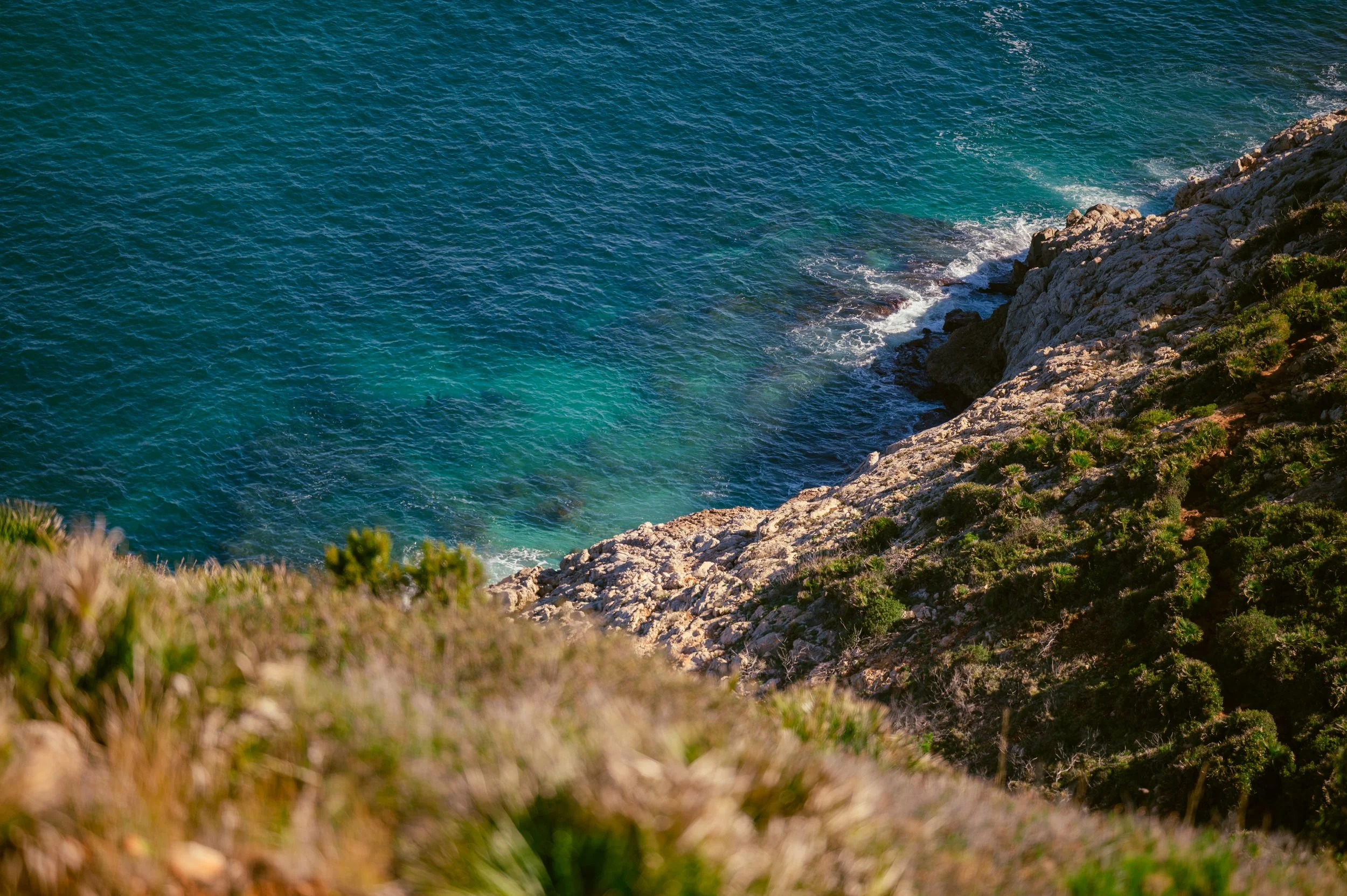DSC_6991.jpg