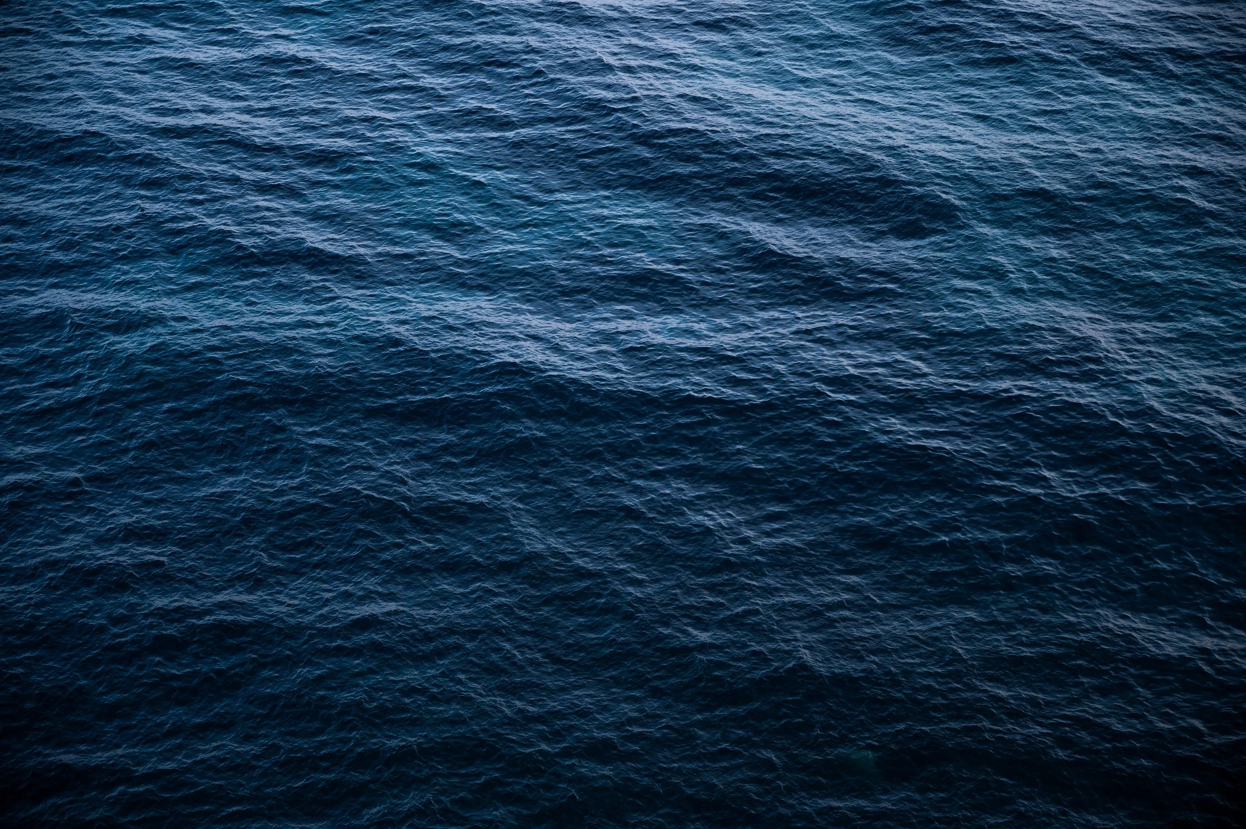 DSC_6645-2 - Kopie.jpg