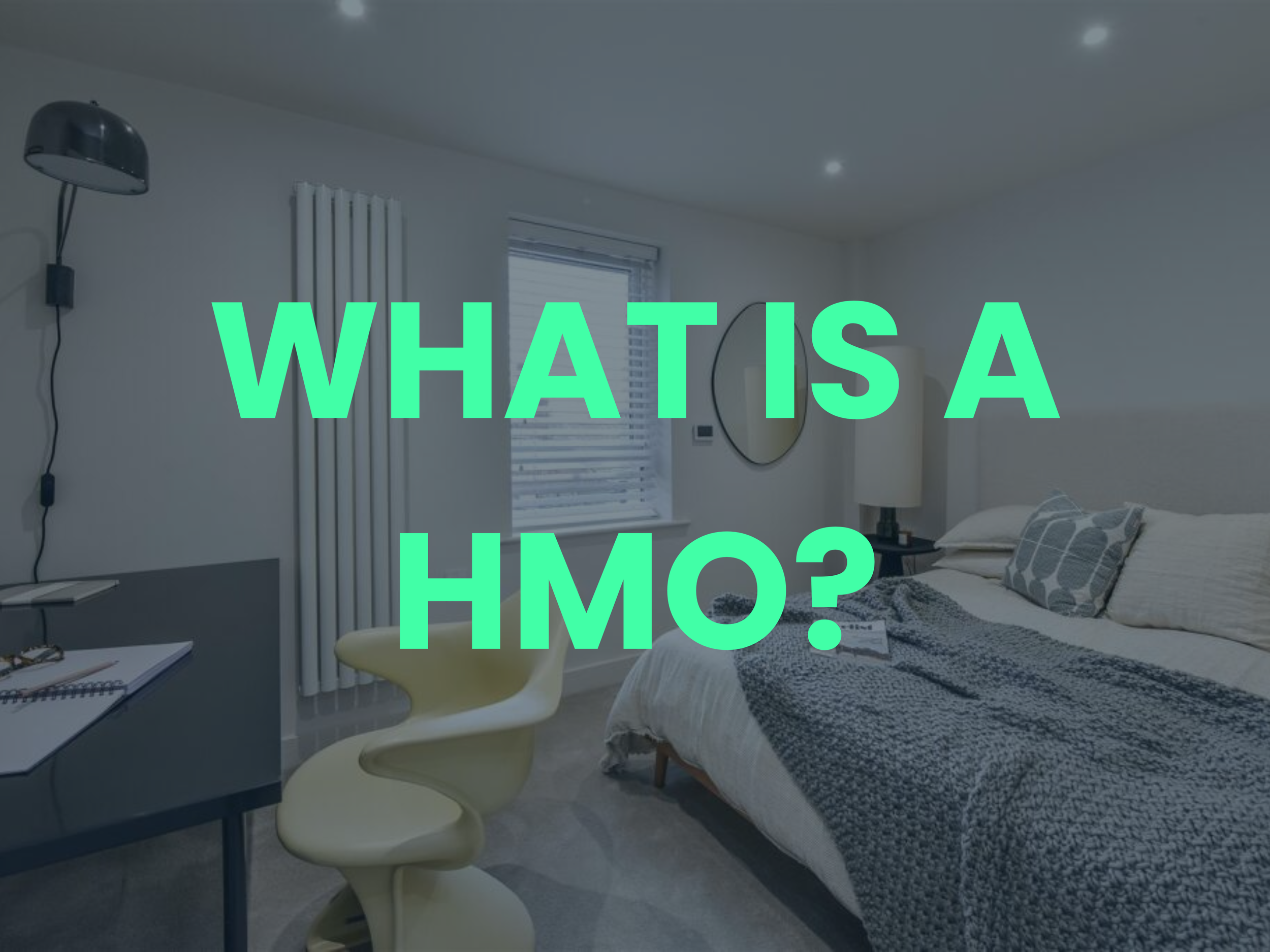 What Is a HMO?