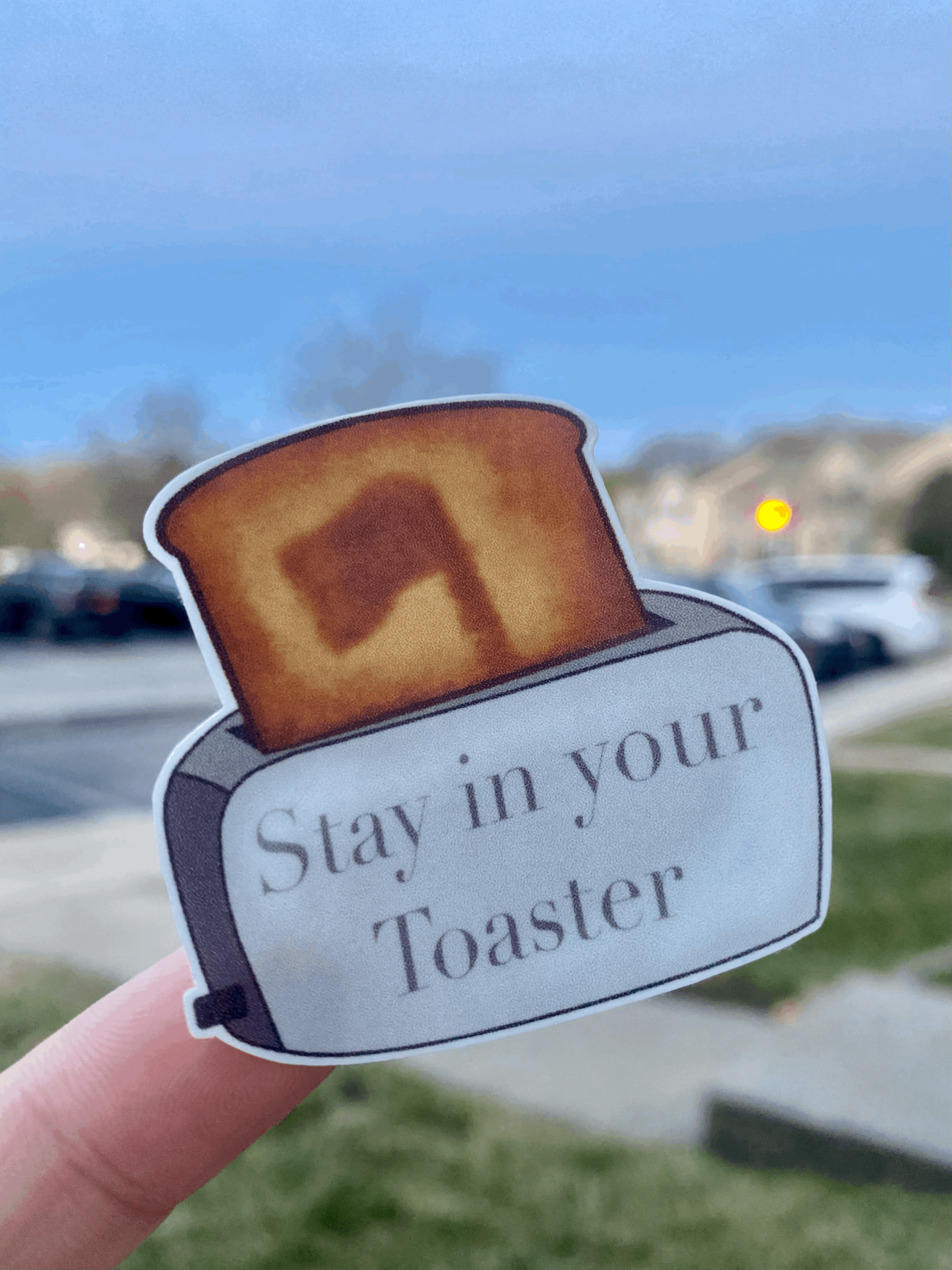 Stay In Your Toaster