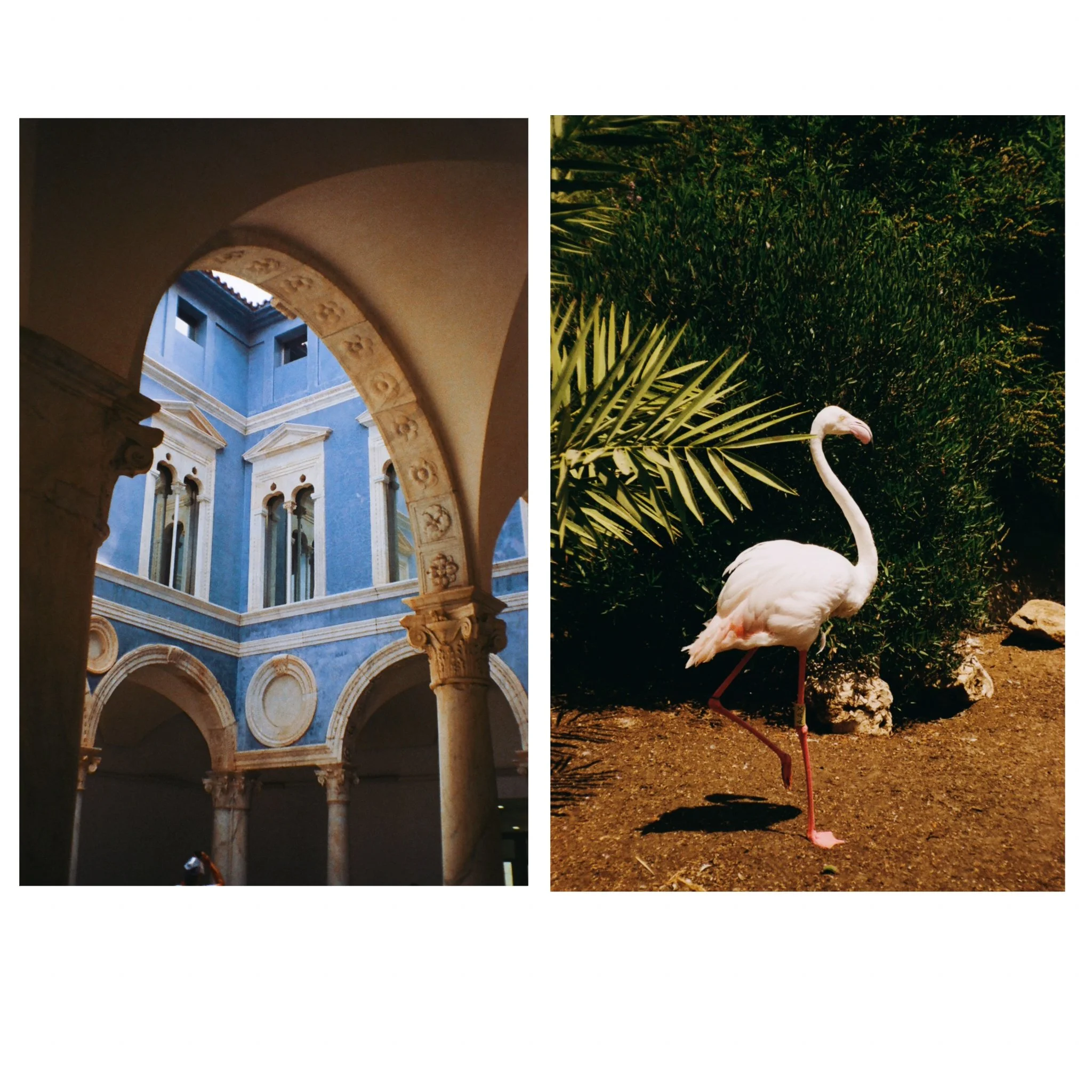 photo-output 3.jpg
