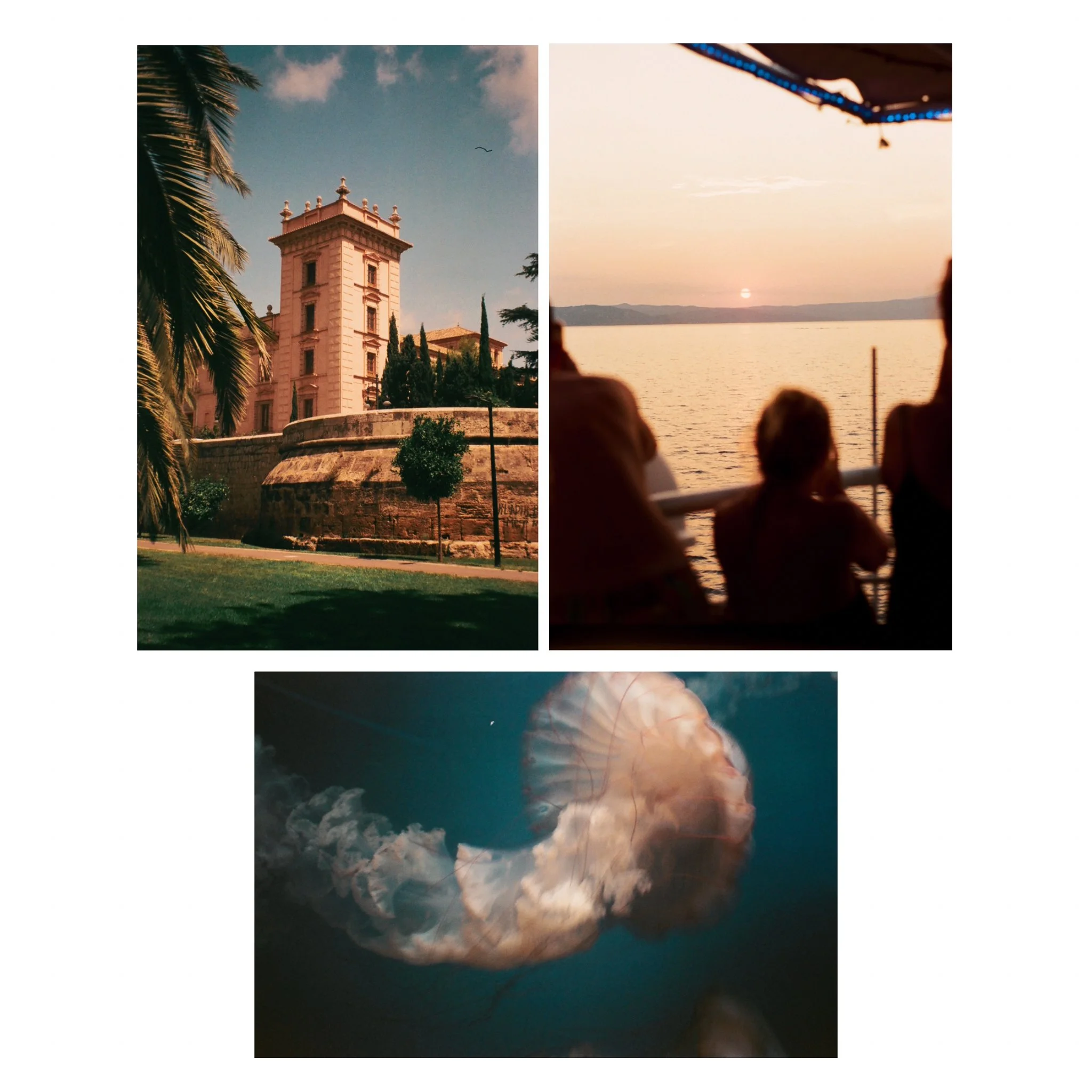 photo-output 5.jpg