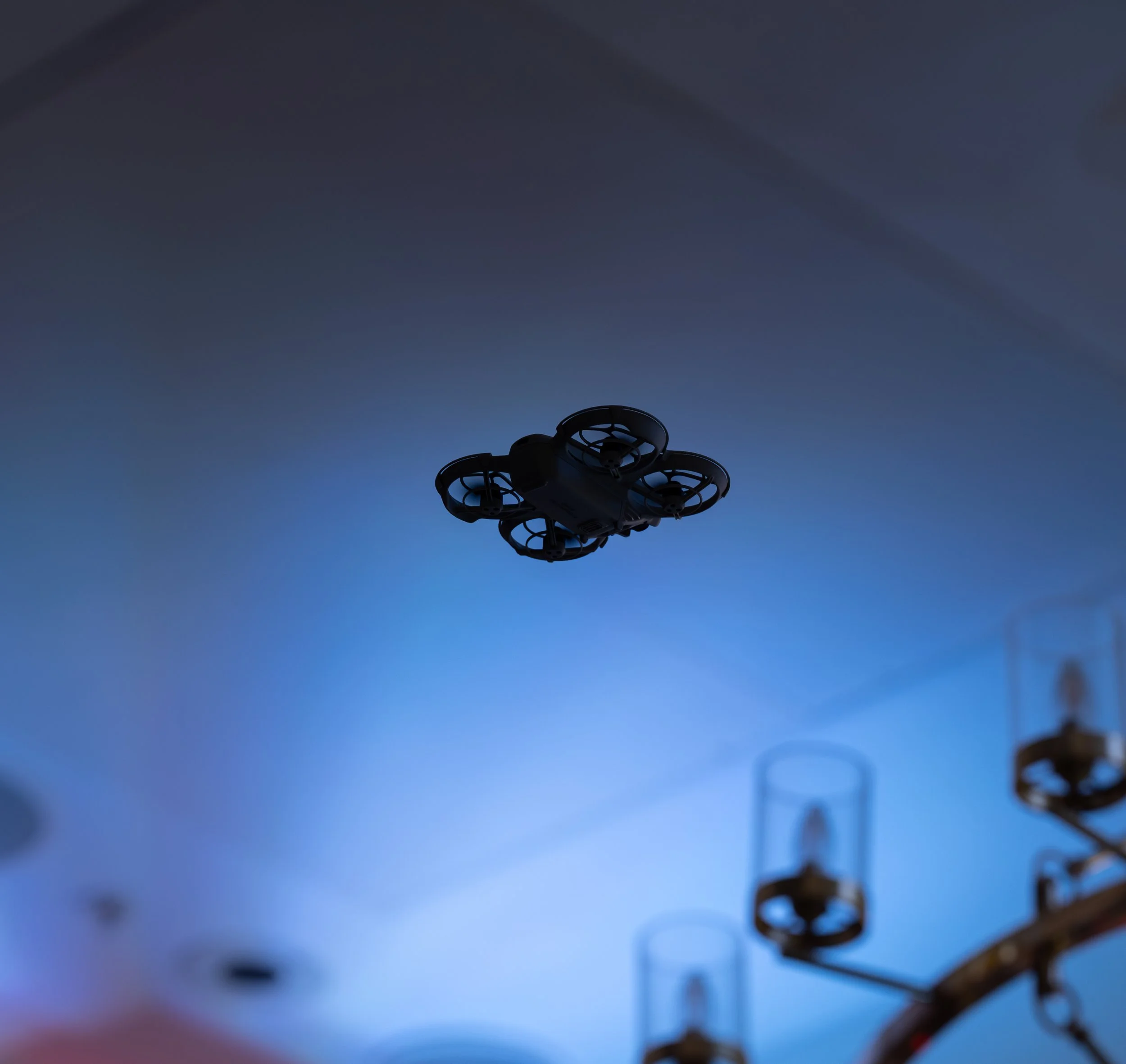 waldorf pics -11.jpg