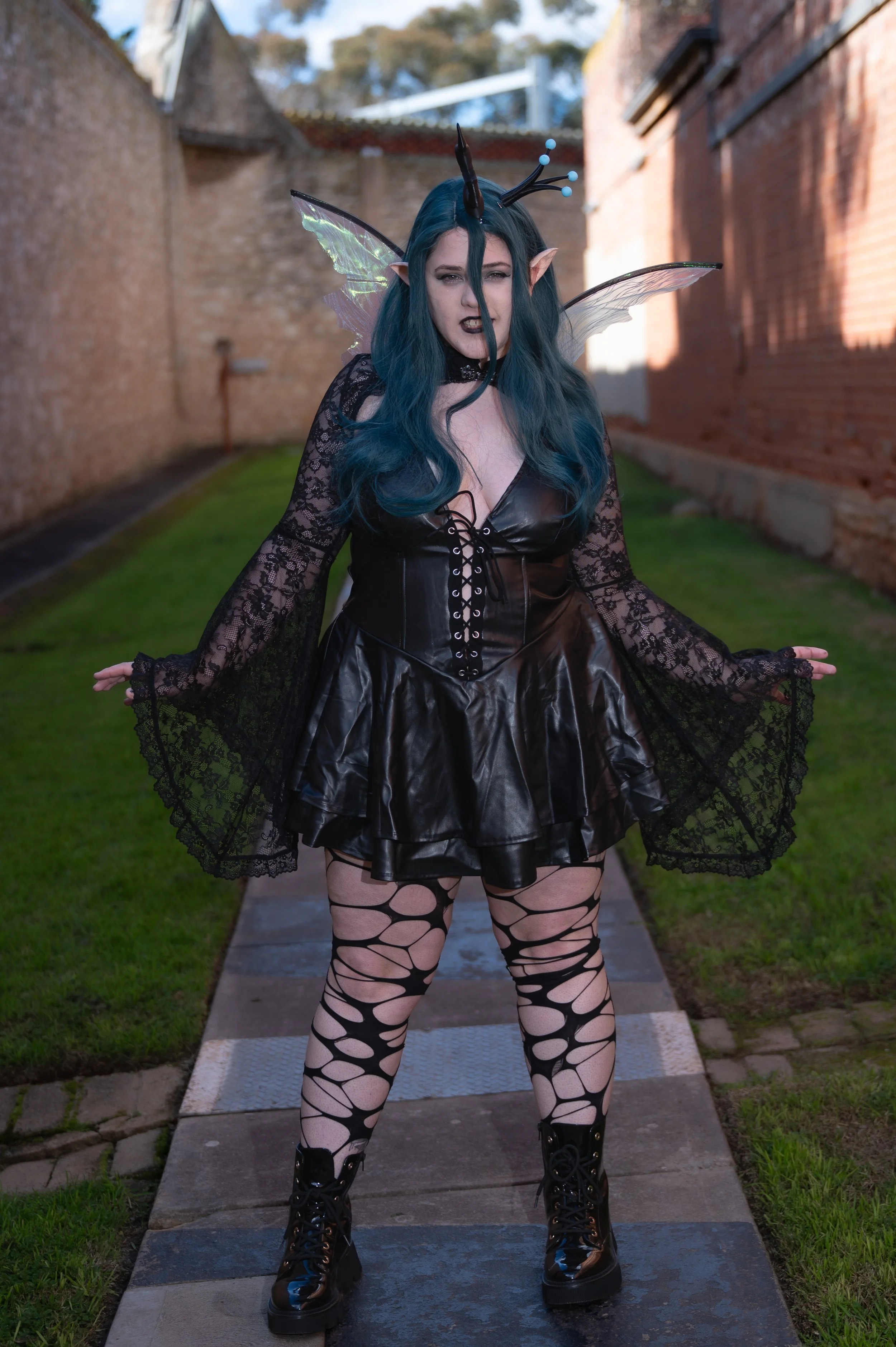 DSC_0126.jpg