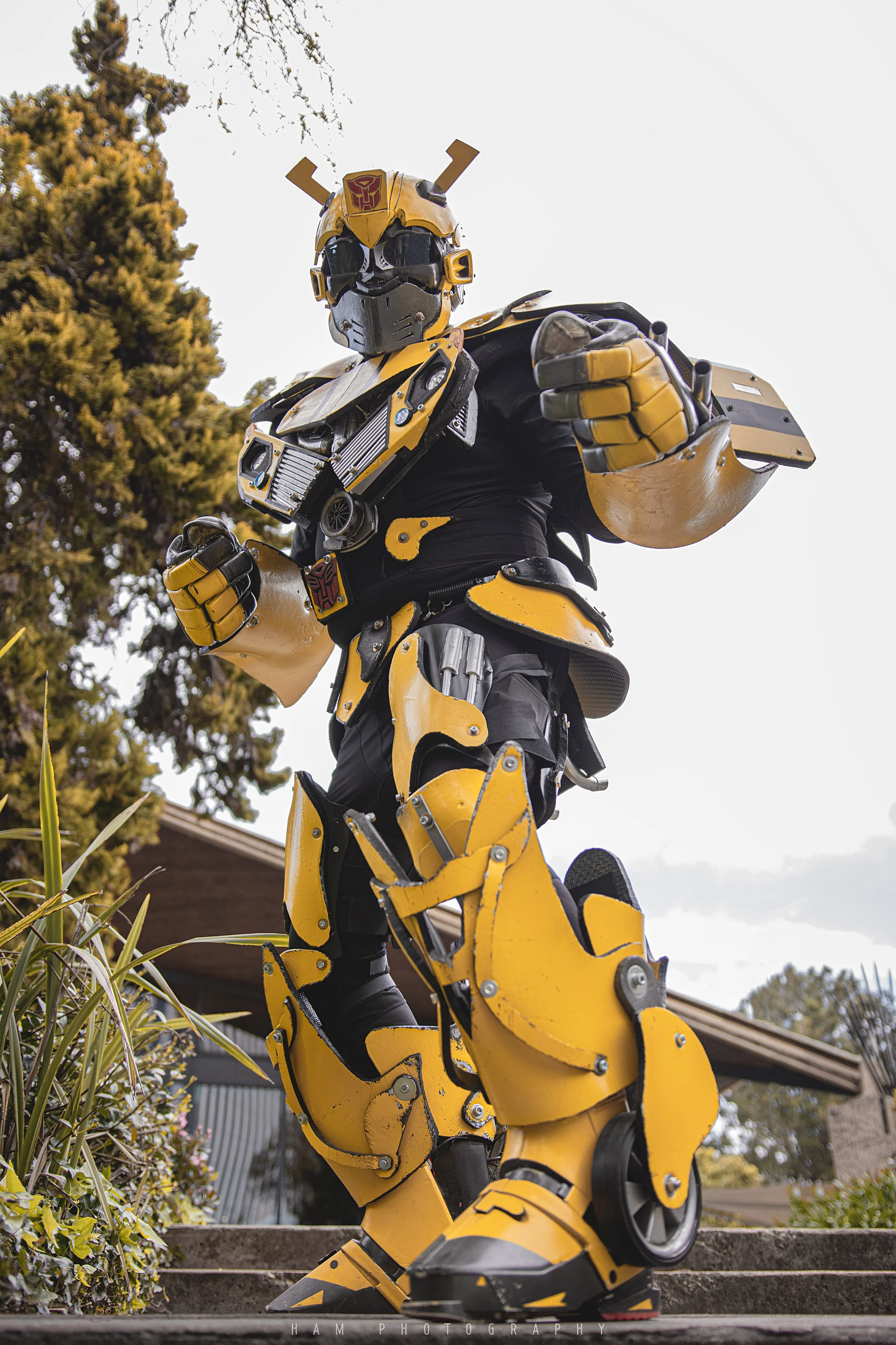 Bumblebee by @geraldbuttfield 02.jpg