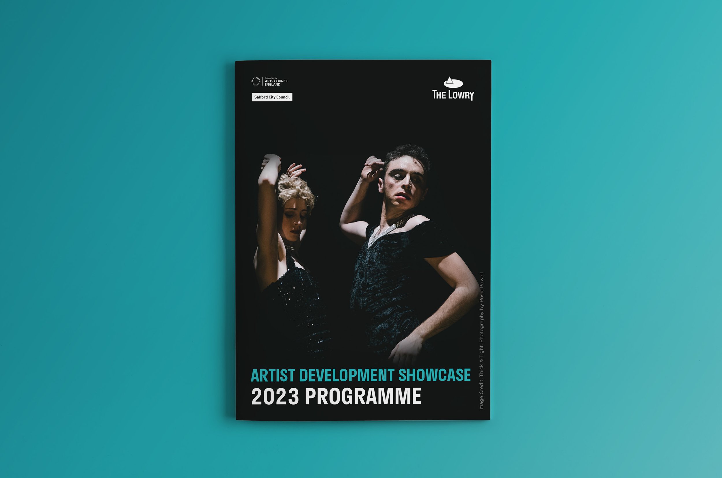 Artist Devel - mockupcover.jpg