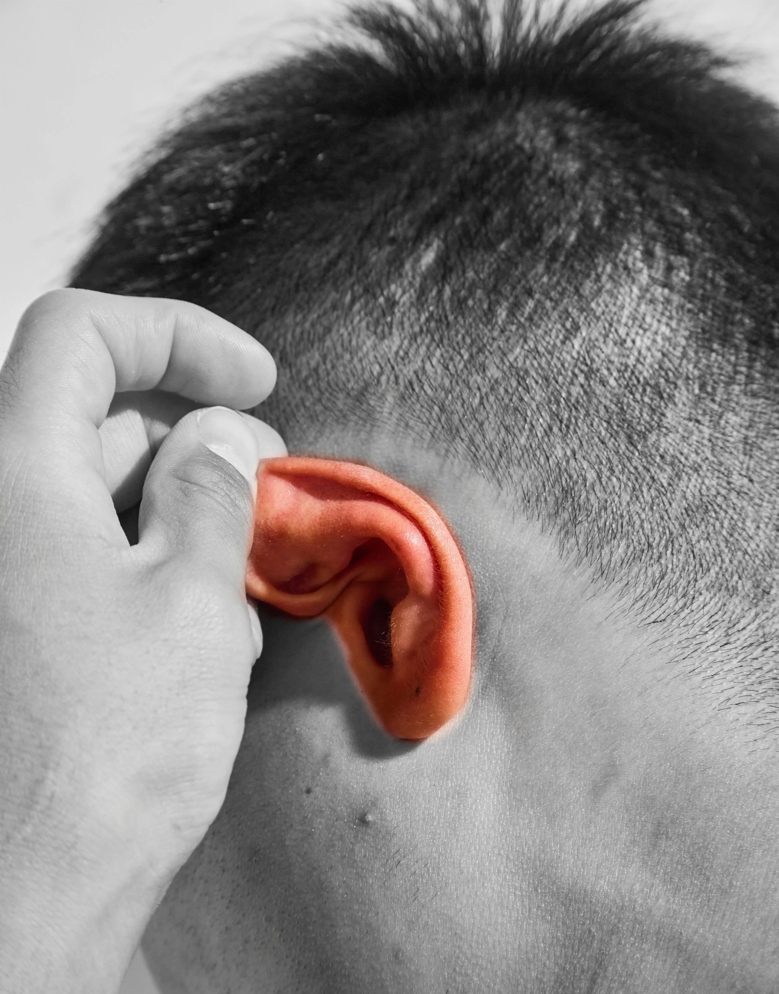 Final BFA Photos1730 1.jpg