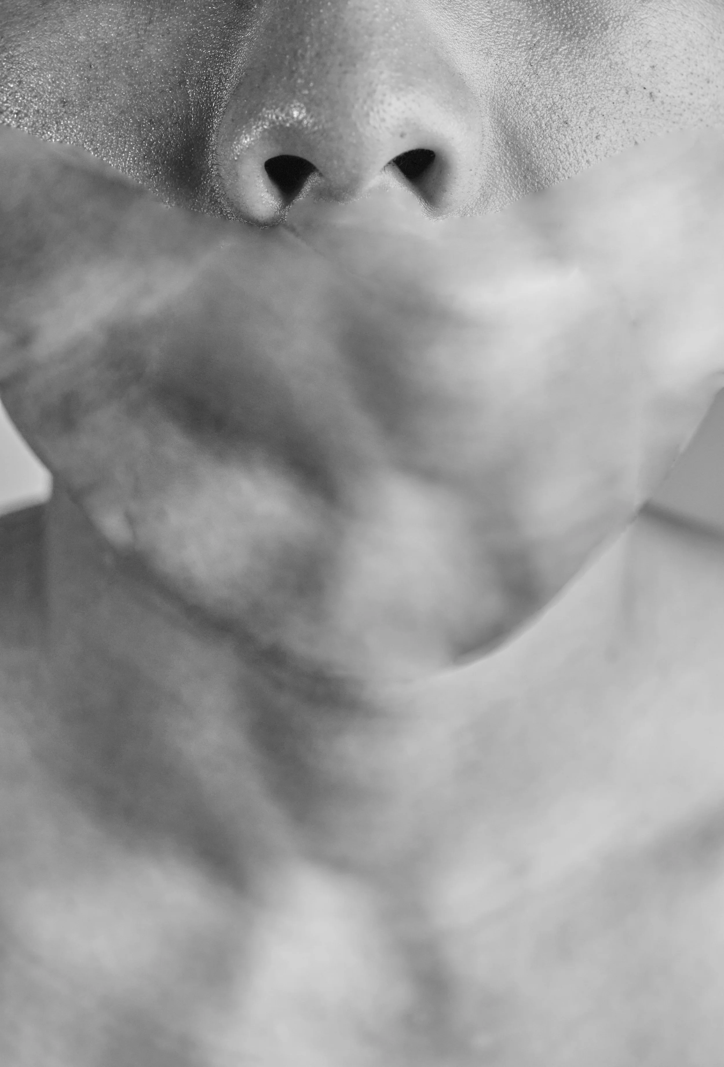 Final BFA Photos2081 1.jpg