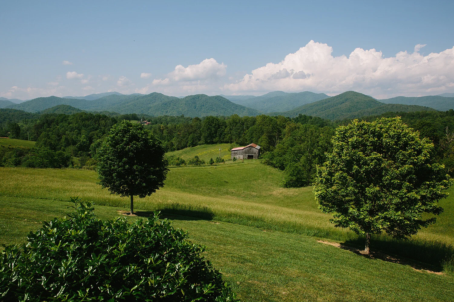 A Wedding At The Ridge