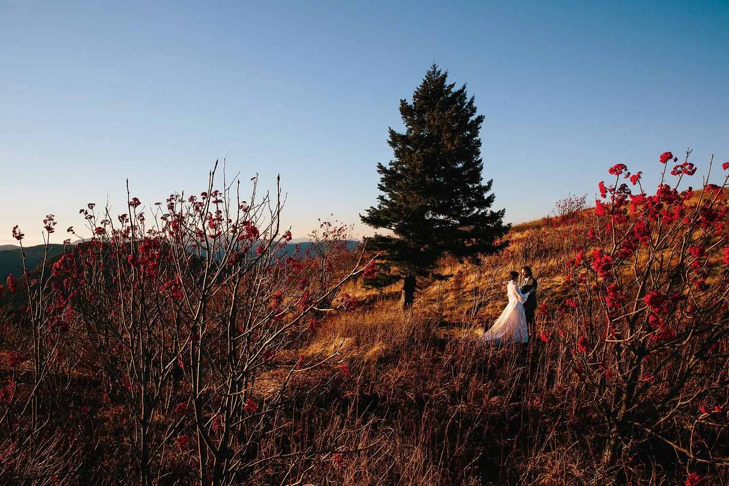 jeremy-russell-asheville-elopement-mountain-16-07.jpg