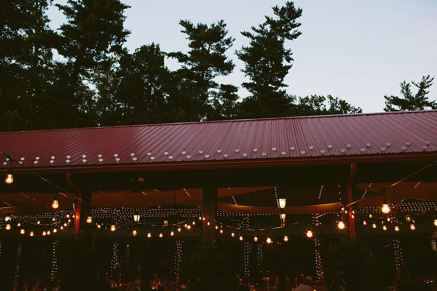 Jeremy-Russell-Asheville-Biltmore-Wedding-1407-070.jpg