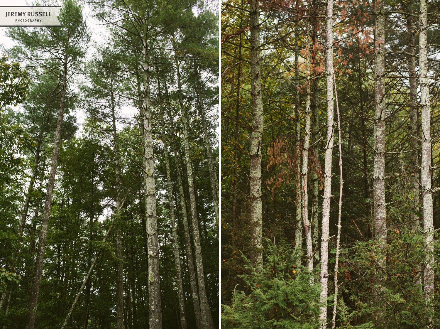 Mandy + Adam / An Intimate Wedding / North Carolina