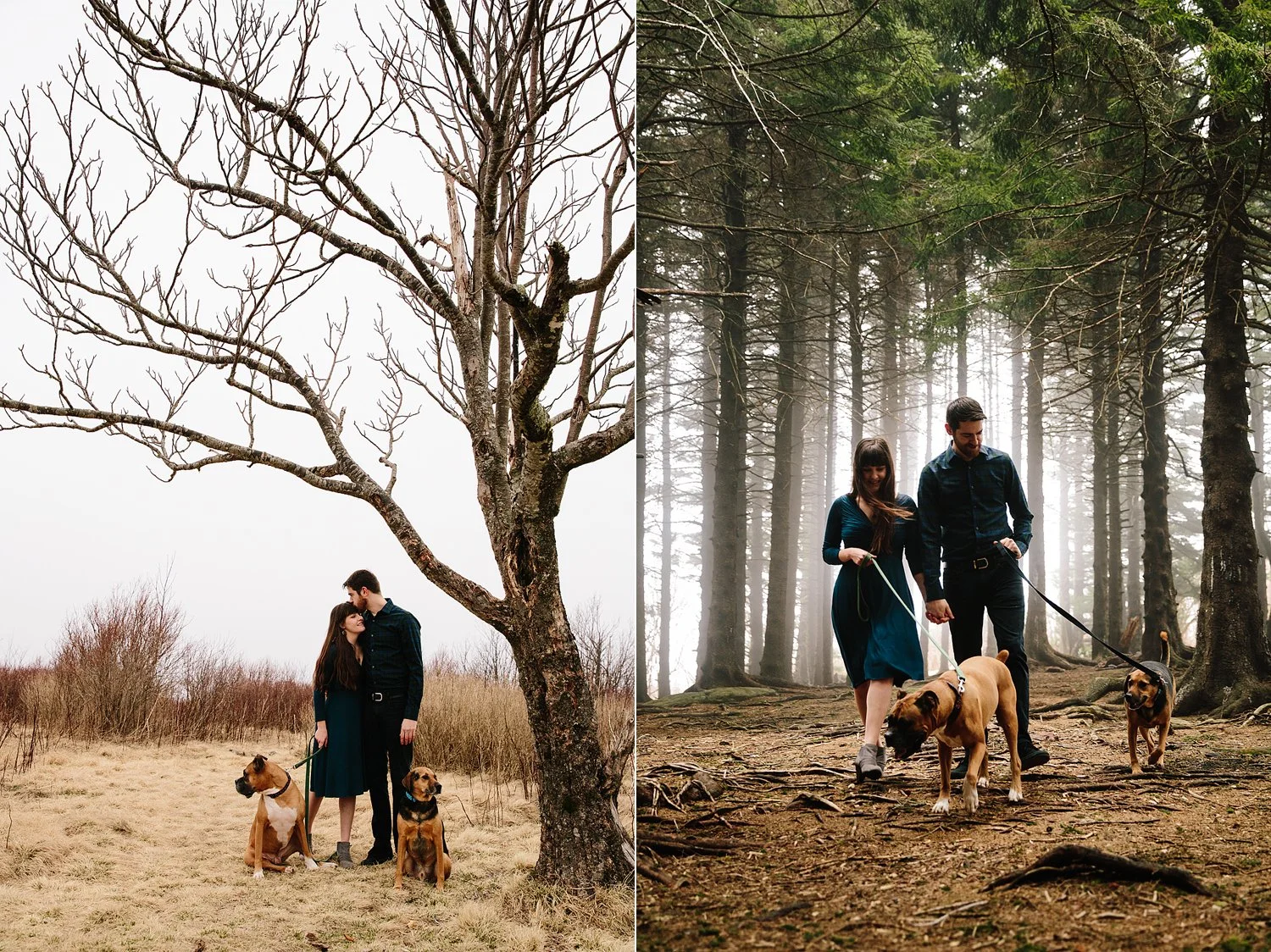 003-jeremy-russell-asheville-mountain-engagement-16.jpg