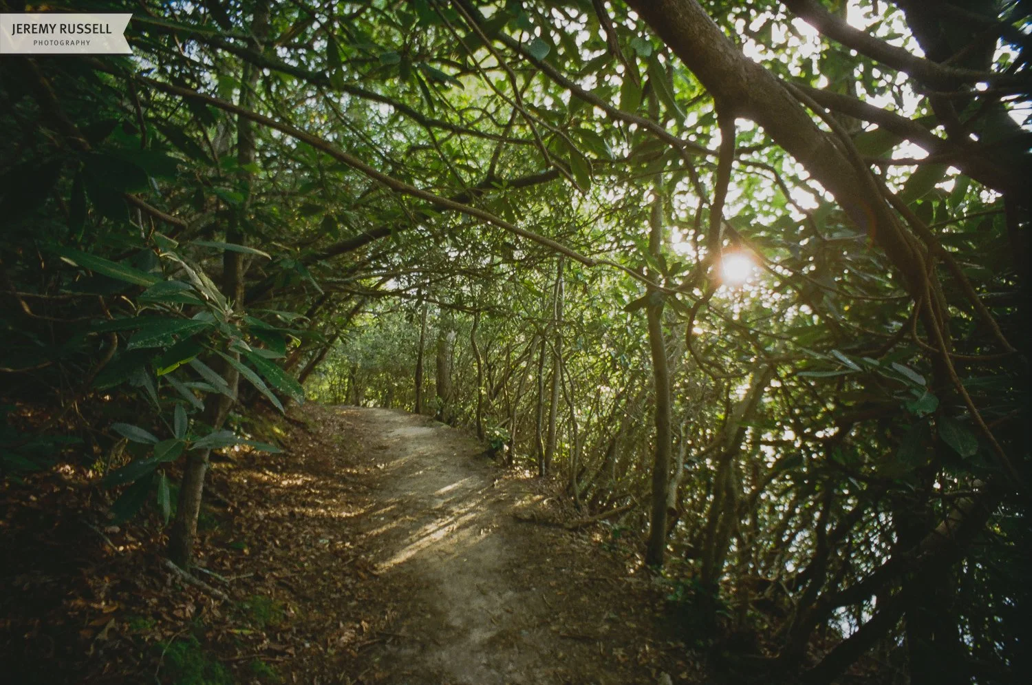 Jeremy-Russell-13-Summer-Film-13.jpg