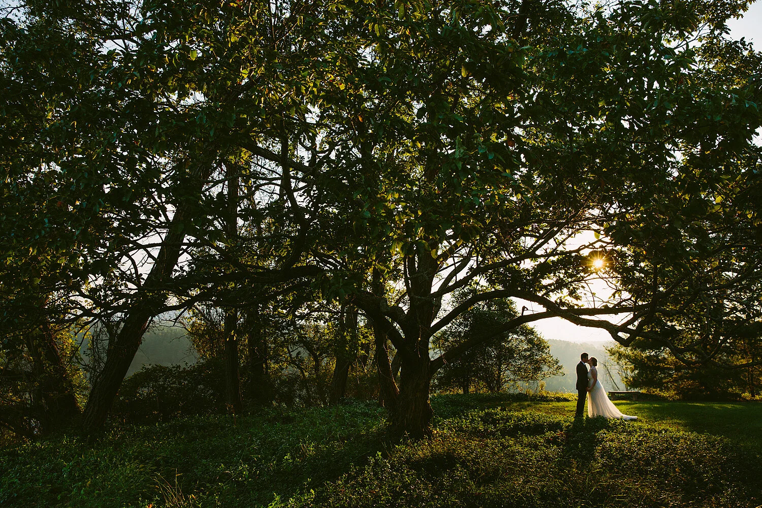 Perfect Light At This Fall Wedding In Asheville