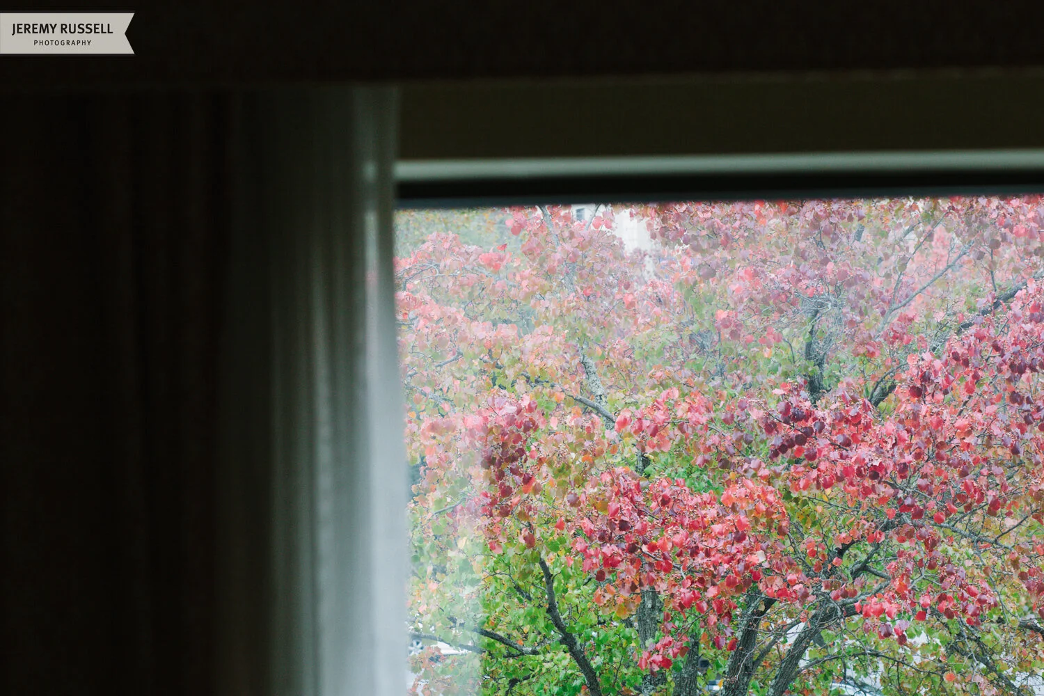 Shannon + David / Inn on Biltmore Estate Wedding / Asheville