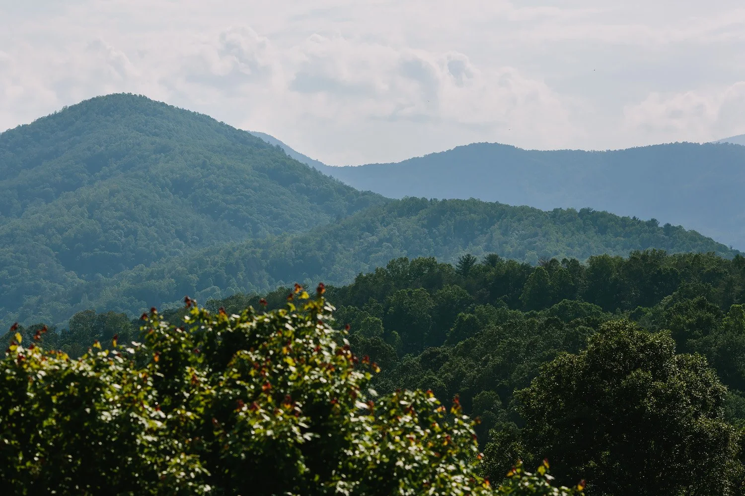 Jeremy-Russell-Asheville-Ridge-Venue-Wedding-17-049.jpg