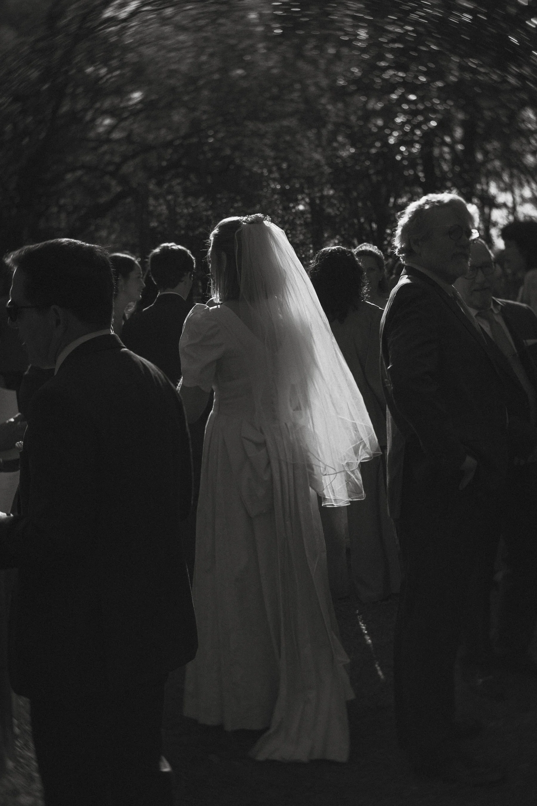 Editorial bride veil at Nashville wedding