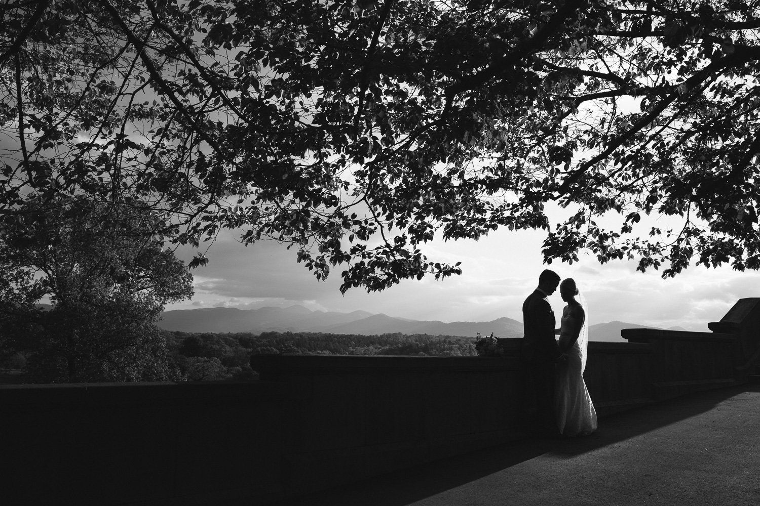 Biltmore Estate bride and groom
