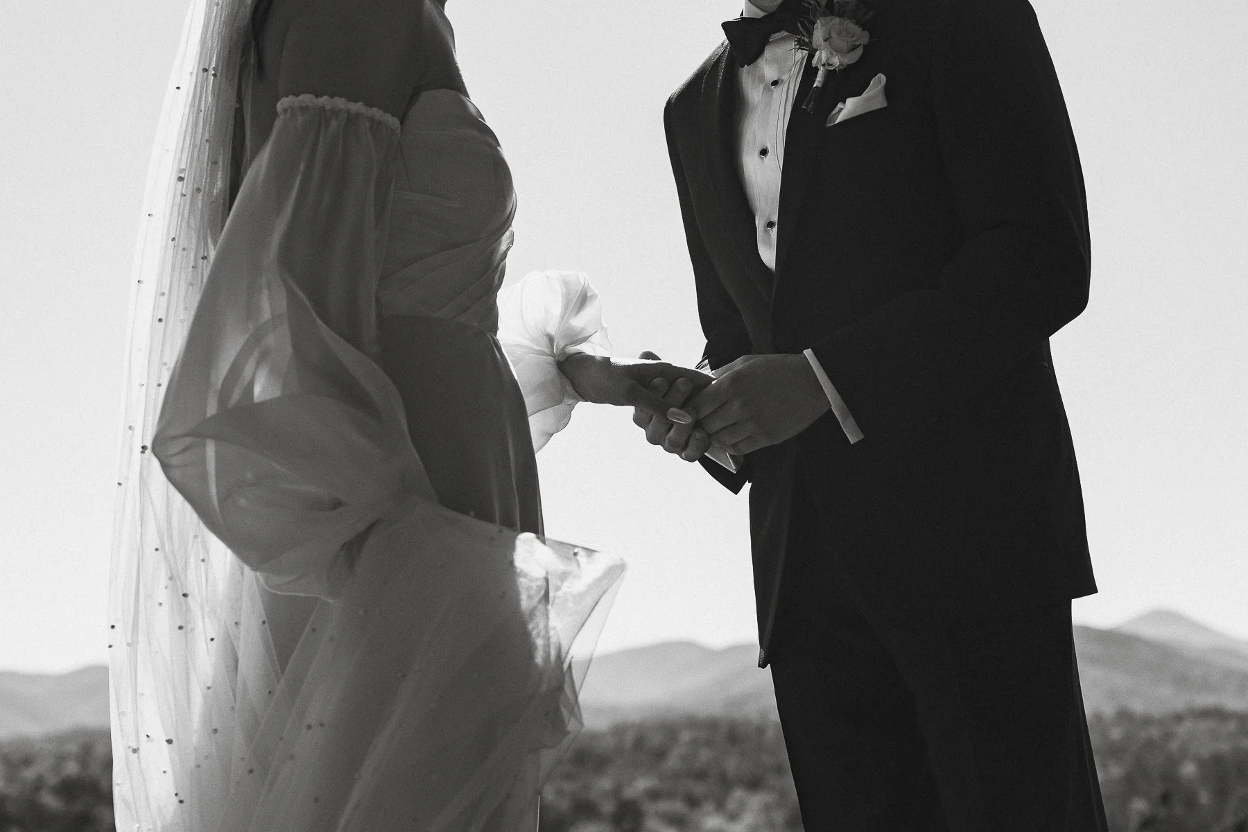 Formal wedding at The Biltmore Estate in Asheville