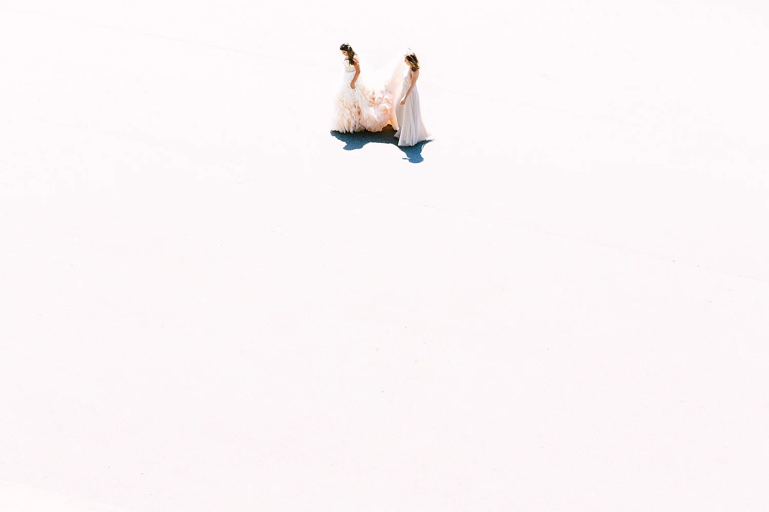 Bride and bridesmaid Asheville Biltmore Estate