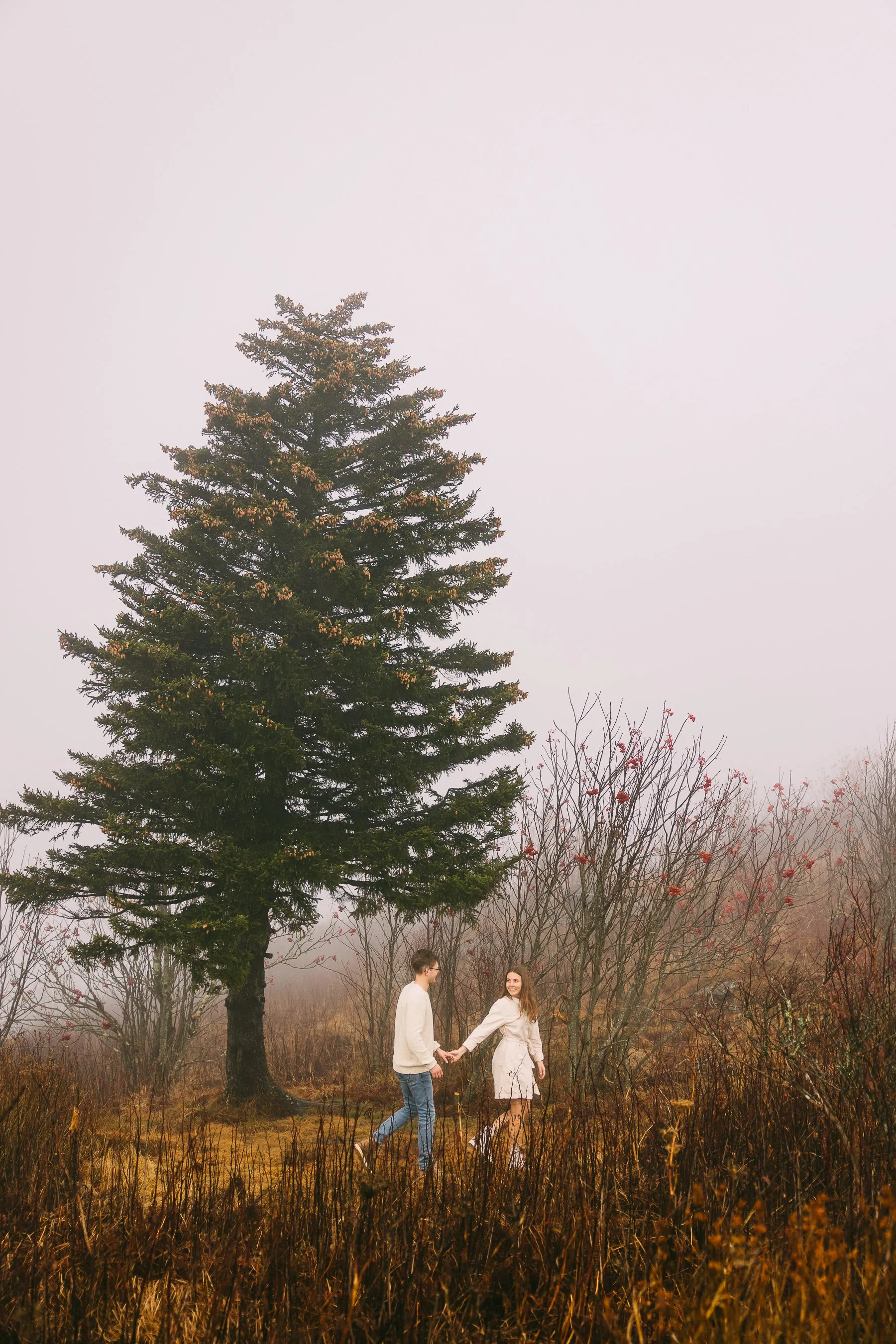 JeremyRussell-Asheville-Mountain-Engagement-231112-21.jpg