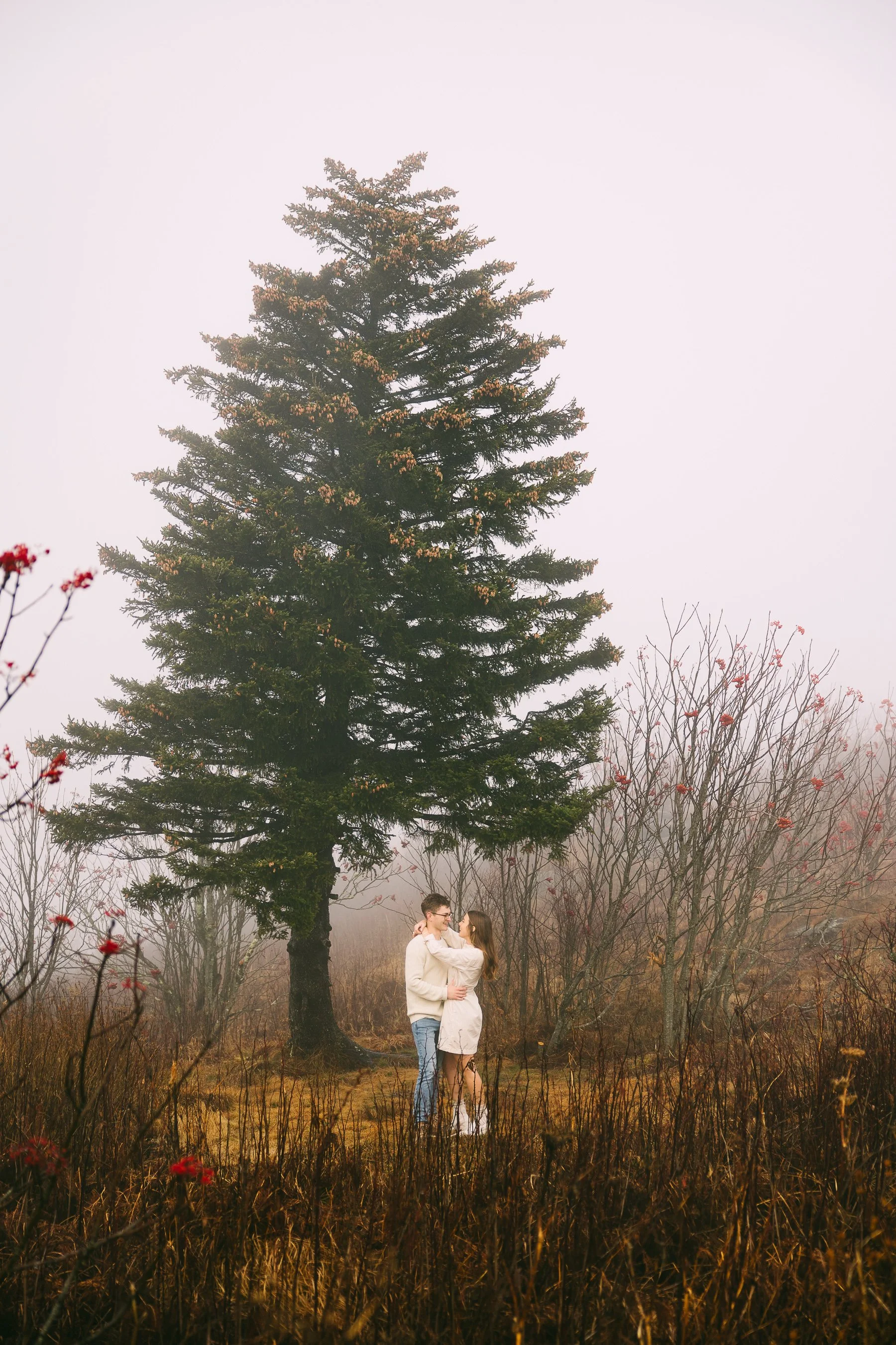 JeremyRussell-Asheville-Mountain-Engagement-231112-20.jpg