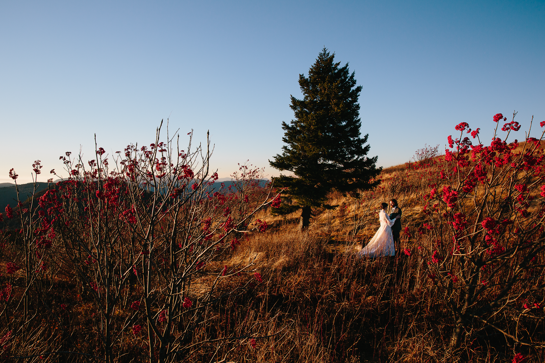 Blue Ridge Parkway fall elopement