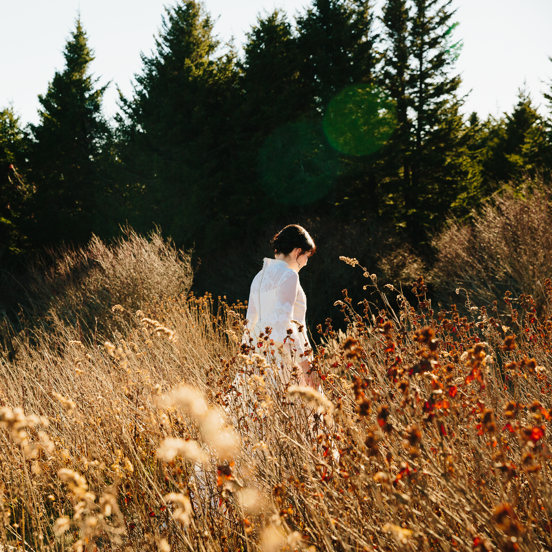 JeremyRussell-Asheville-Elopement-Photographer-161110-005.png