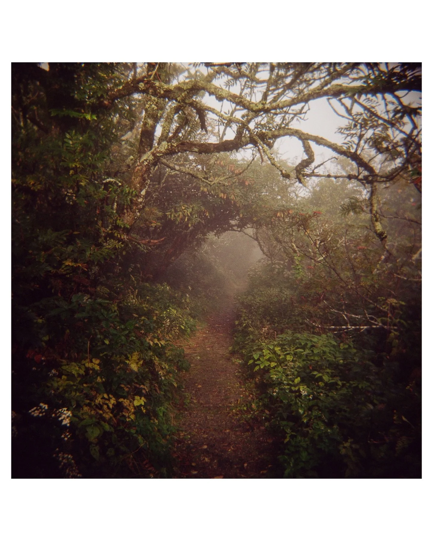 2025 : Some snapshots of the end of summer and fall with some random pieces of work that still managed to  slip in (mostly because that&rsquo;s about all I do in the fall.)

What&rsquo;s the scientific term for when you&rsquo;re simultaneously trying