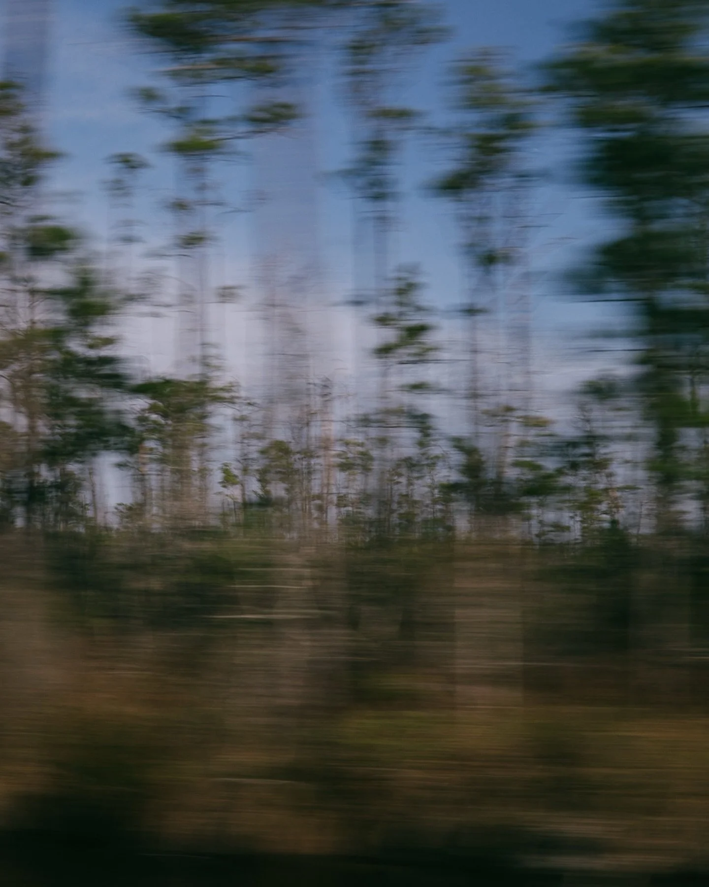 Offline and in the world from Christmas until now. 

A mix of Fuji GFX 50R, Fuji X100VI, DJI, and iPhone. Asheville, Brevard, Sylva, Georgia, and the Outer Banks. Images/edits on slide 14 courtesy of @adamchapinphotography
