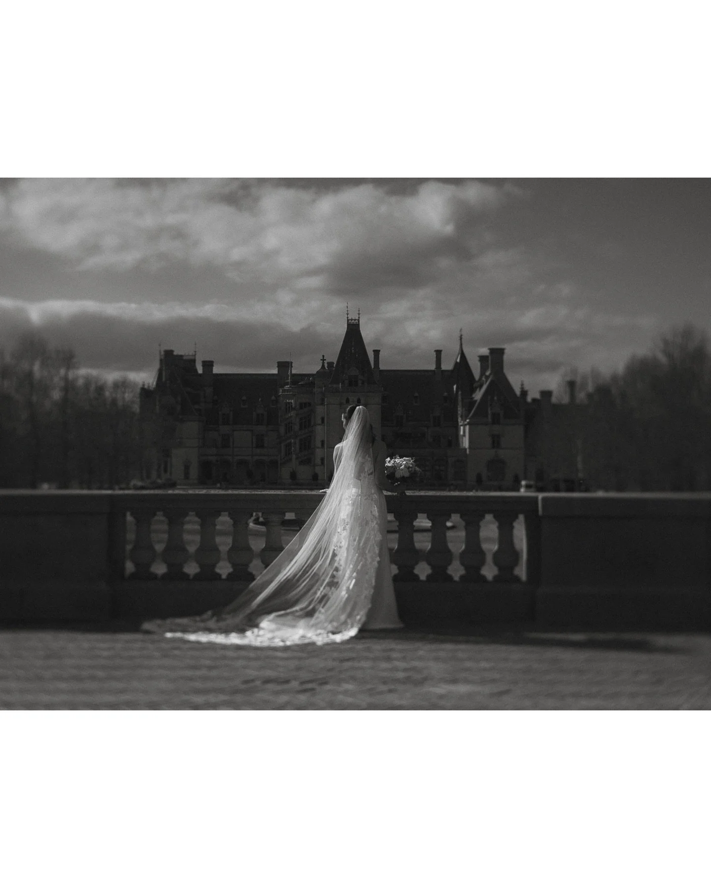 C + J : 🔥

Starting off the year right with these two. 

Planning @marybellevents 
Venue/Catering @biltmoreweddingsnc 
HMU @flawlessairbrush 
Floral @springvine 
Musicians @deansduets 
DJ @carolinadjpros 

Asheville Biltmore destination wedding phot