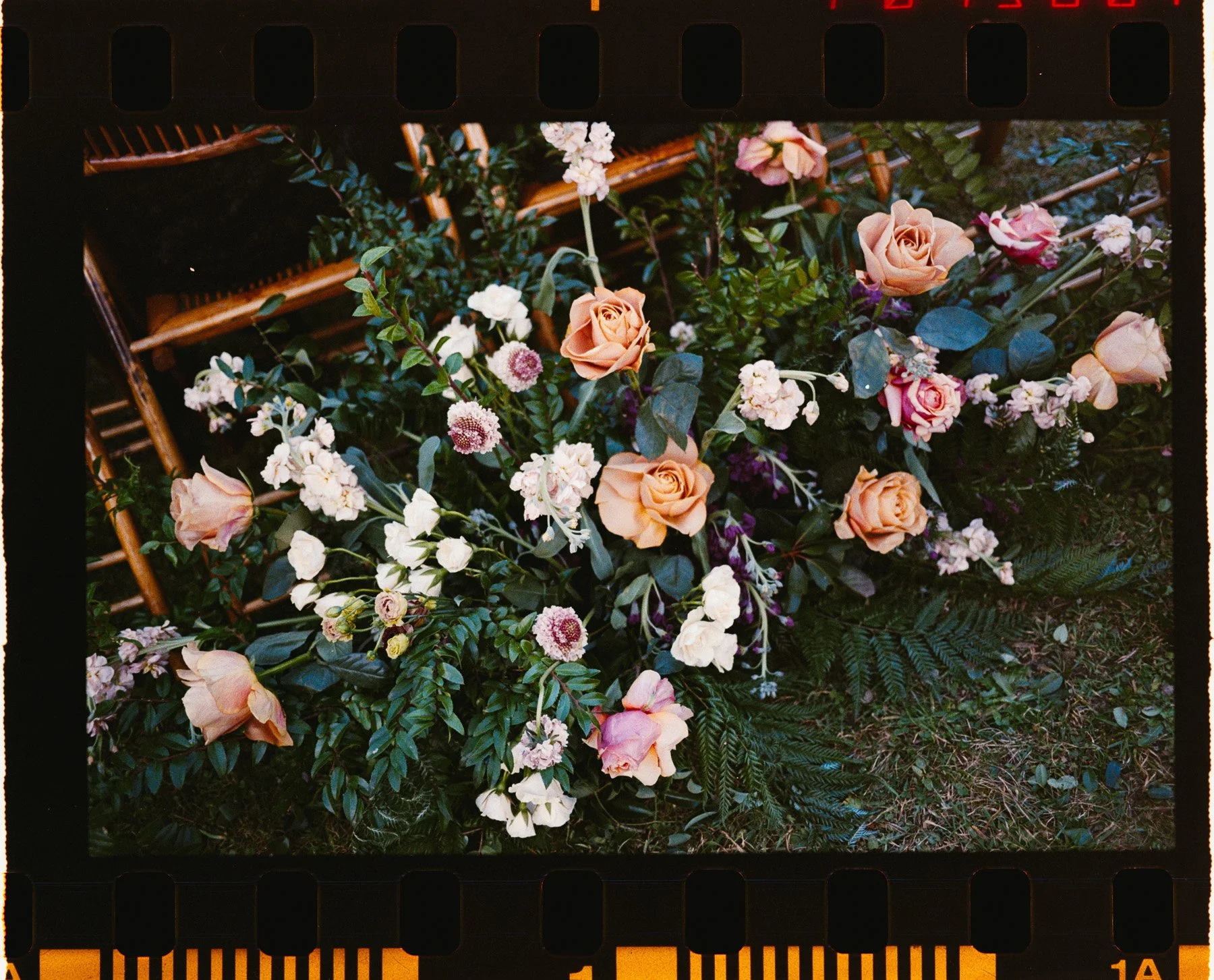 Asheville Film Wedding Photographer