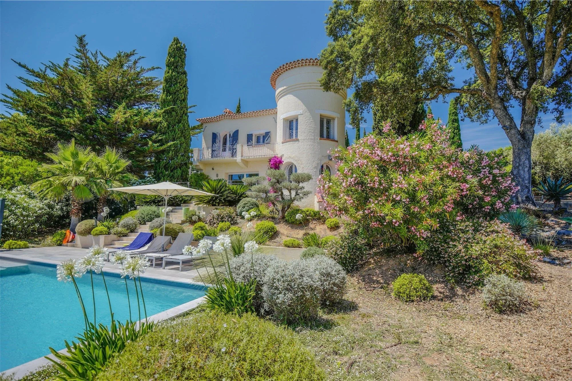 oleander zwembad huis.jpeg