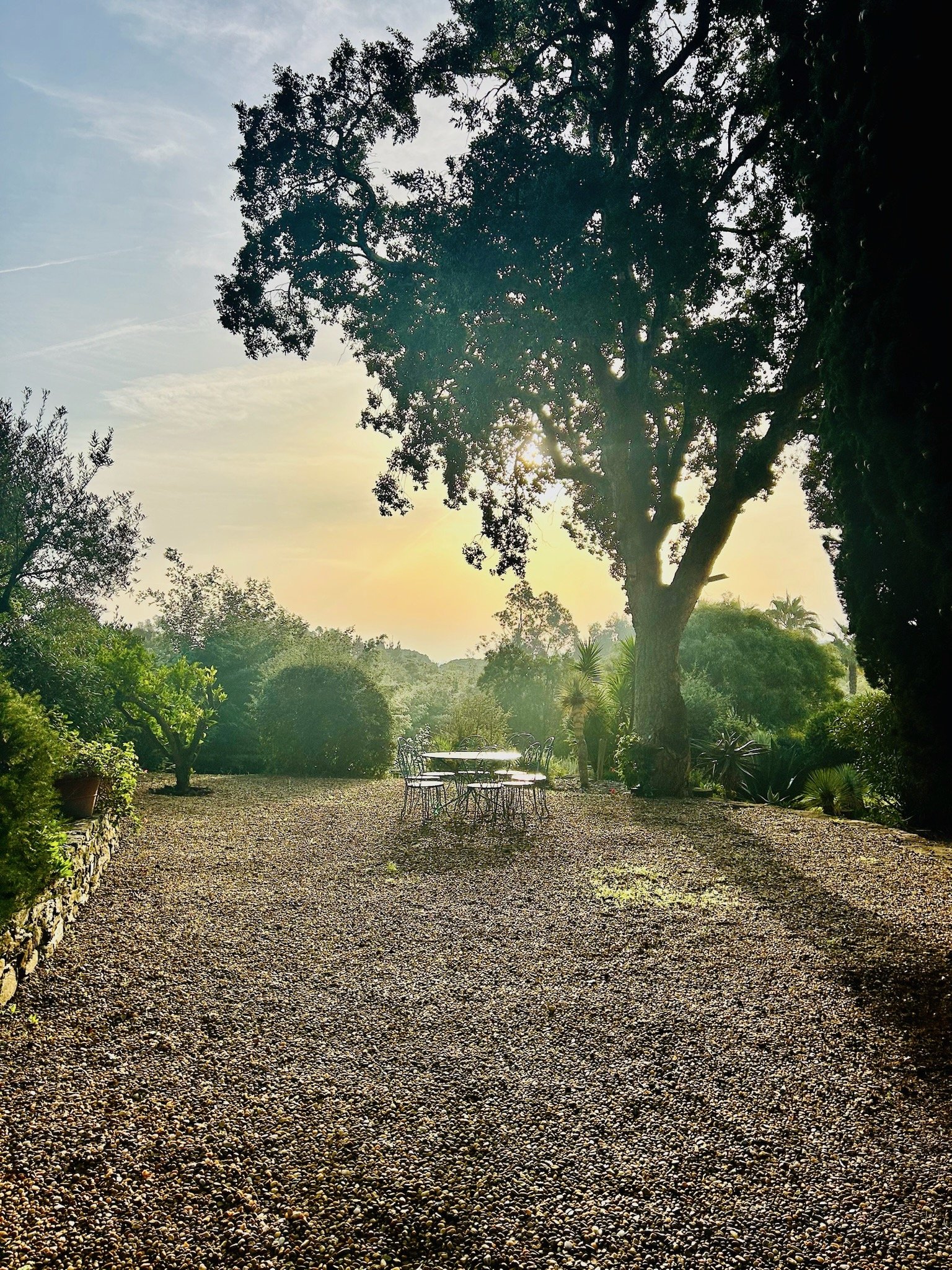 A blauwe tuintafel ochtendgloren.jpeg