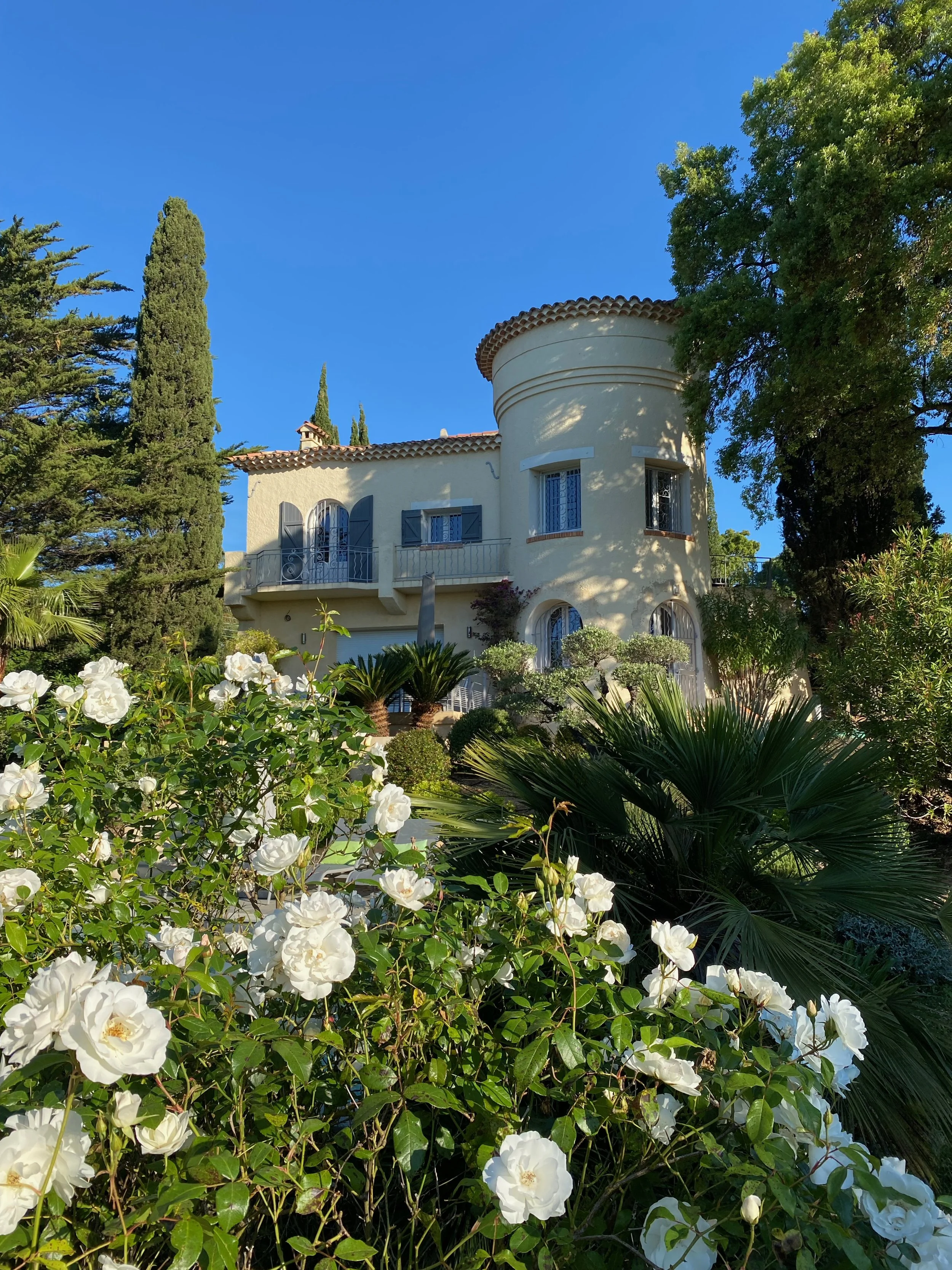 A rozen en huis.jpeg