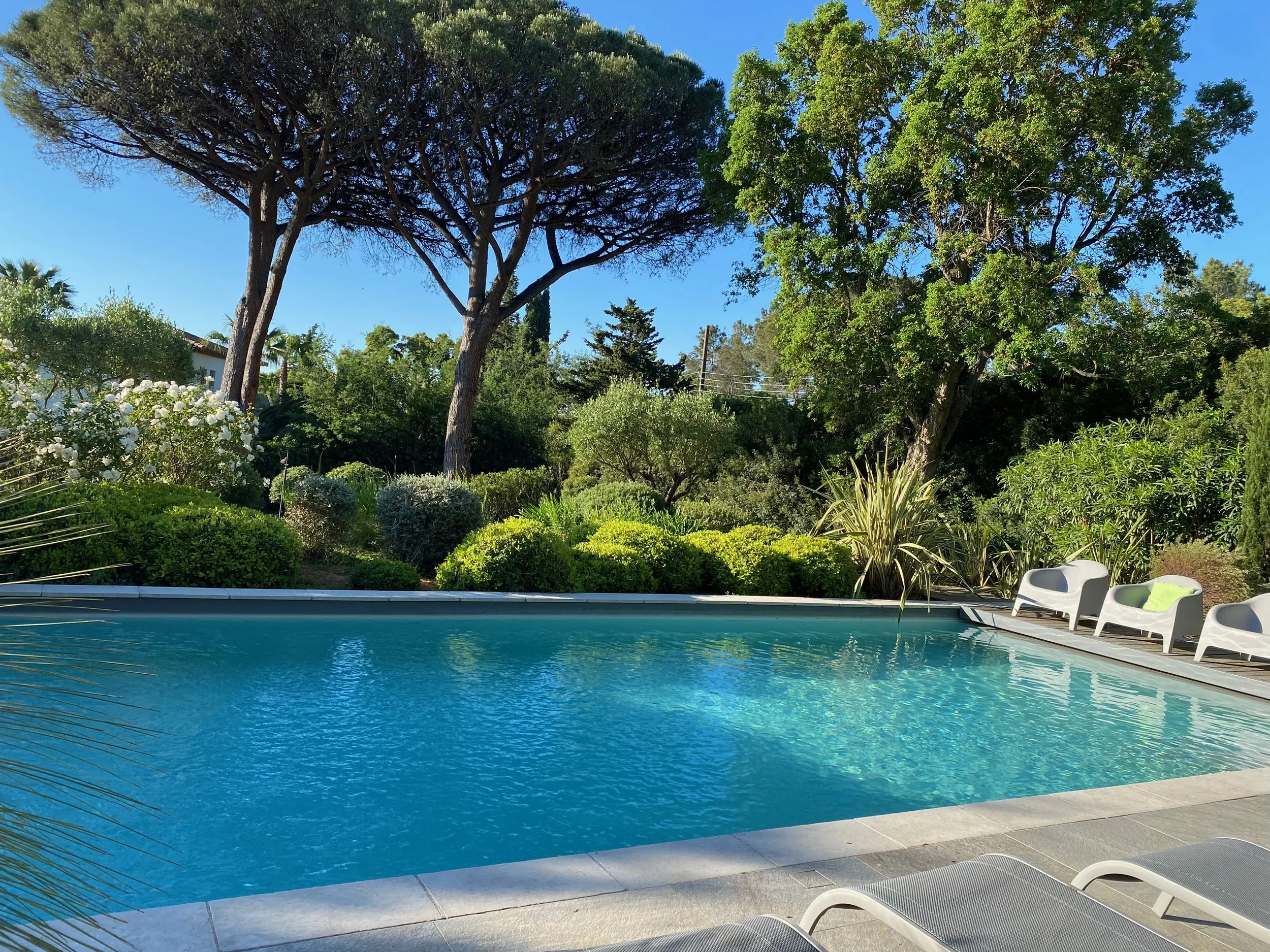 A zwembad vanaf ligstoelen.jpeg