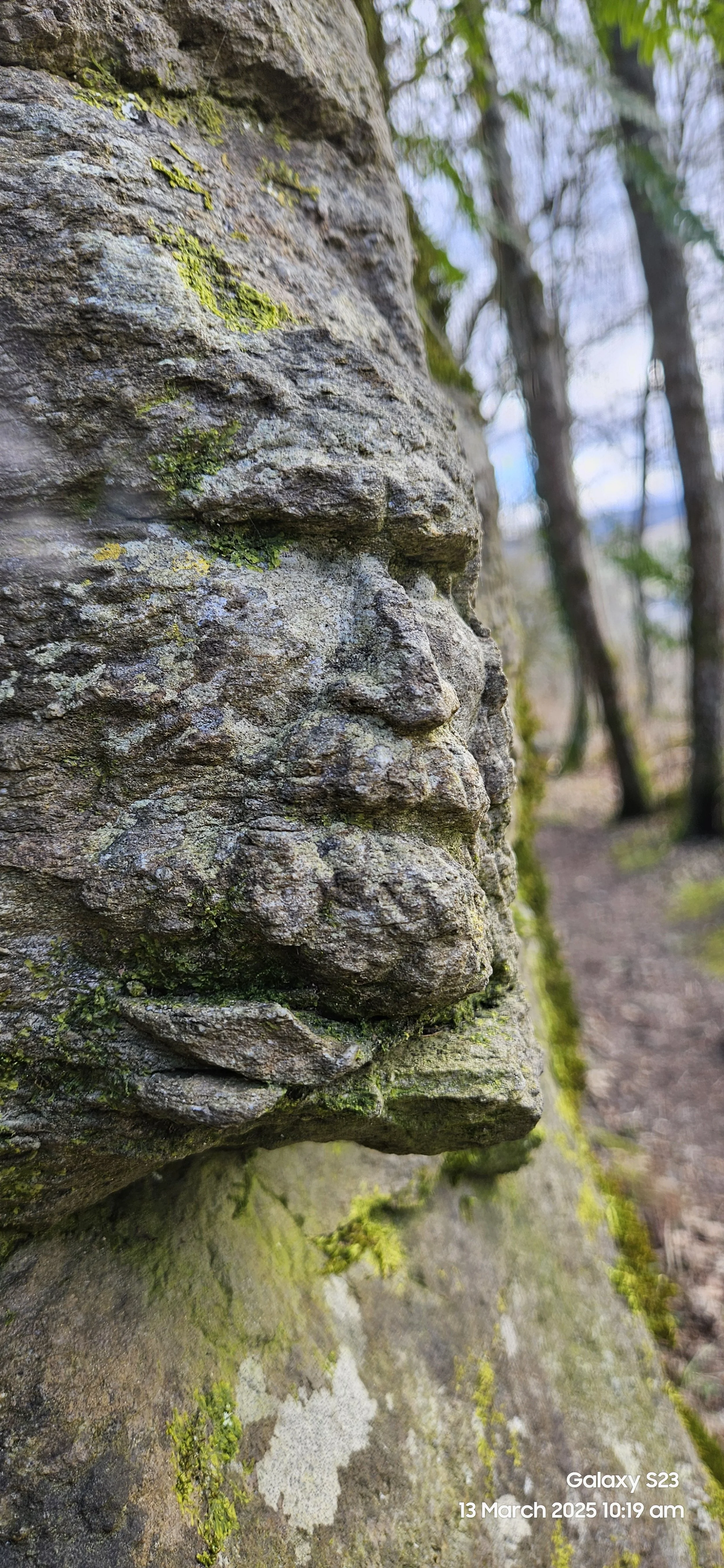 Ancestral Connection Tour