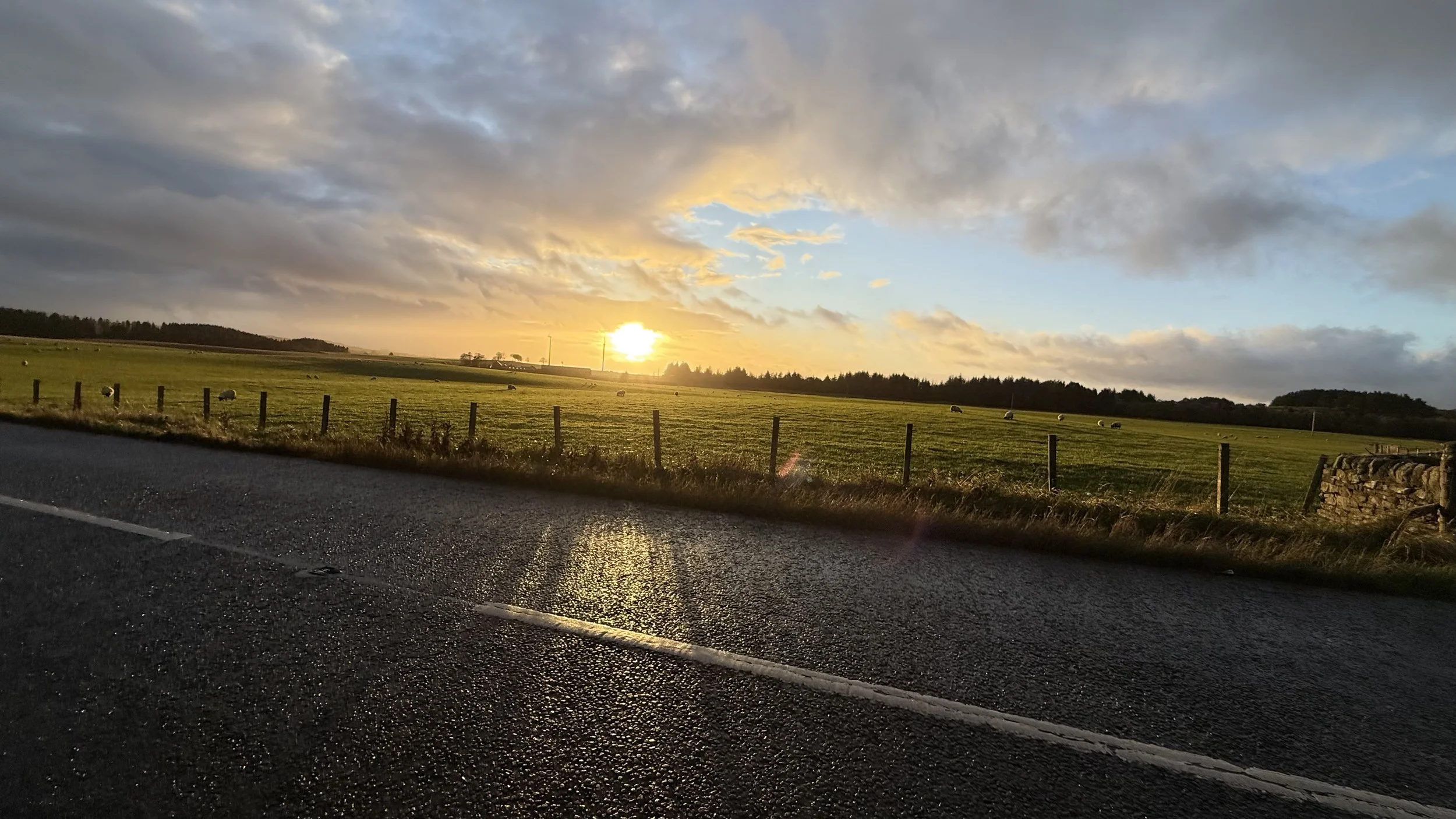 a golden sunset over a road