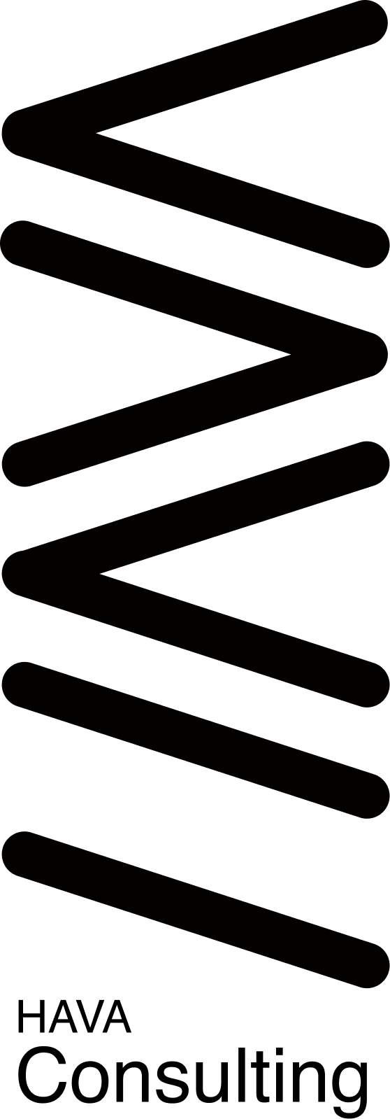 HAVA Consulting