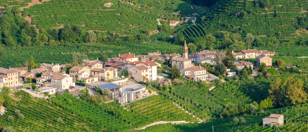 3. Cartizze vineyards Valdobbiadene Italy.jpg